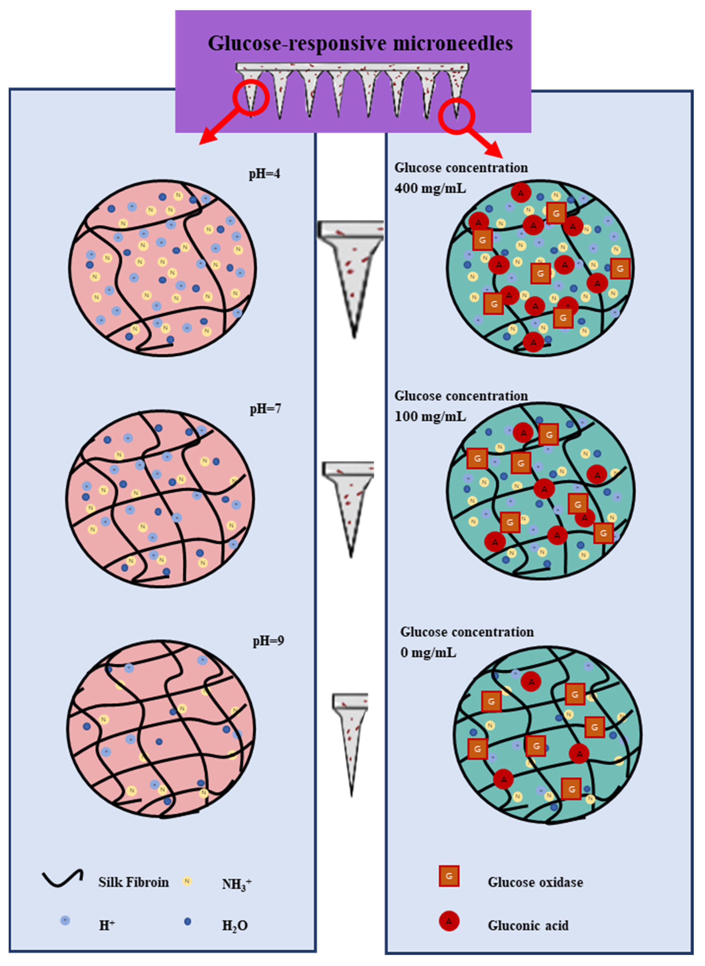 Biomimetics 08 00050 g008 Biomimetics 08 00050 g008