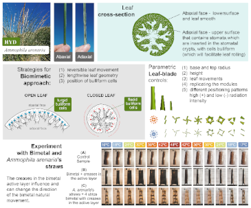 Biomimetics 08 00052 i001