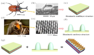 Biomimetics 08 00052 i005