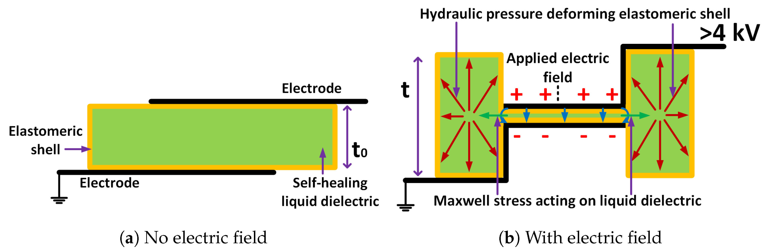 Biomimetics 08 00053 g001 Biomimetics 08 00053 g001