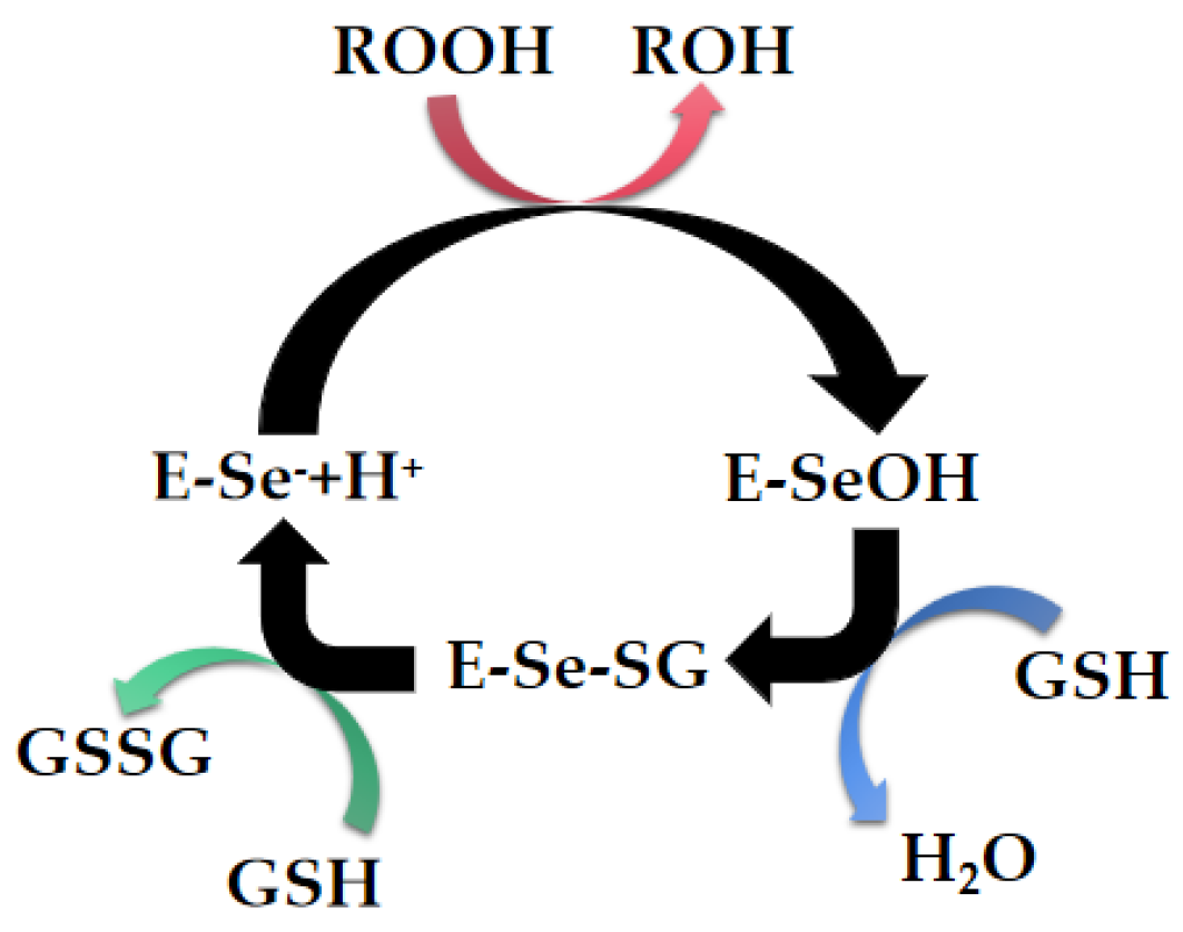 Biomimetics 08 00054 g002