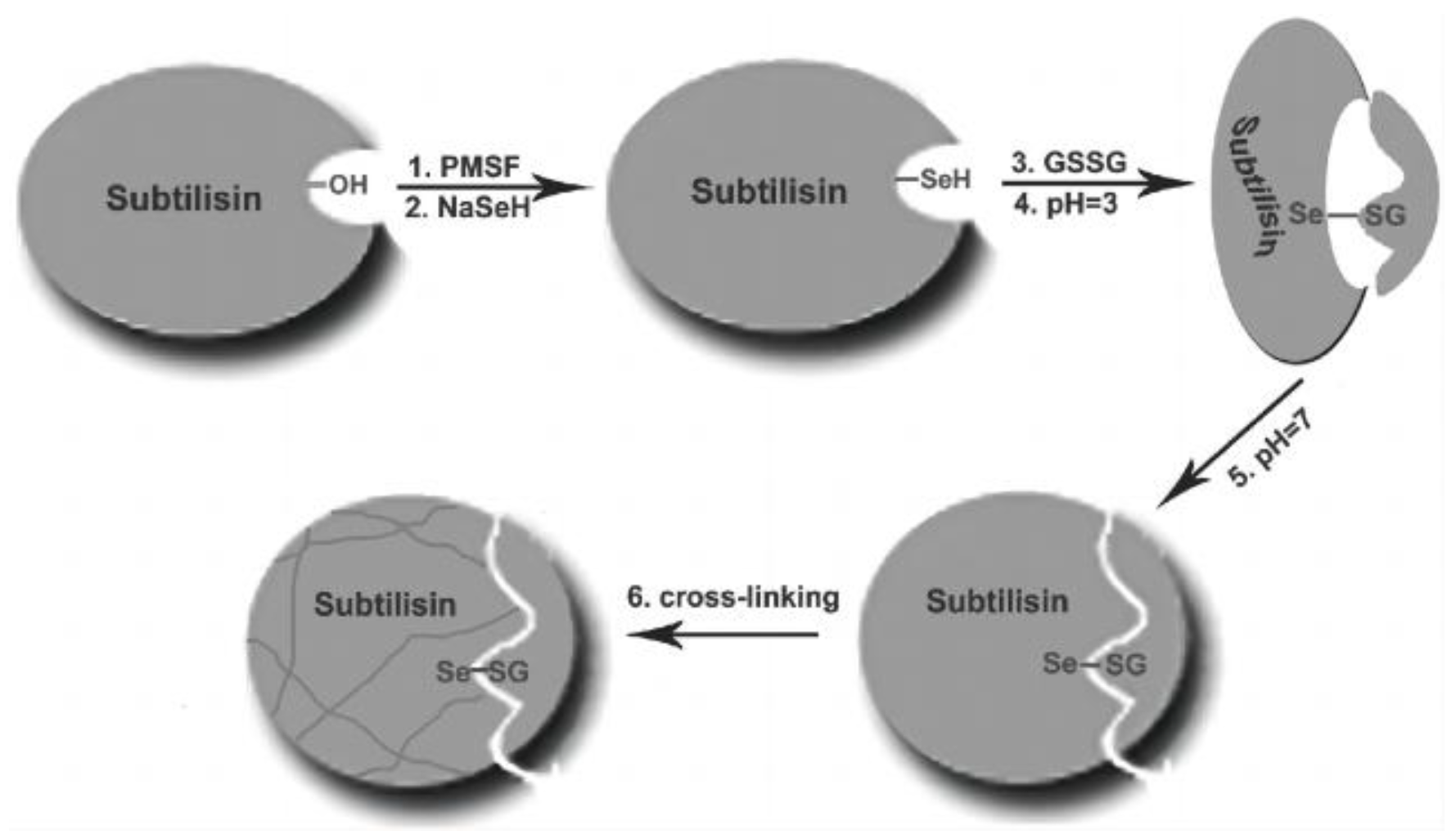 Biomimetics 08 00054 g003