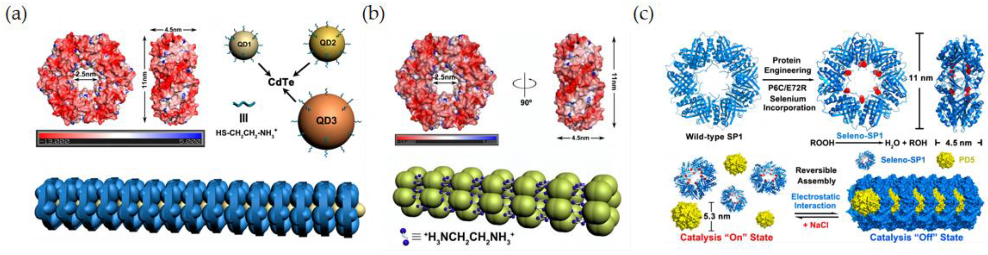 Biomimetics 08 00054 g006