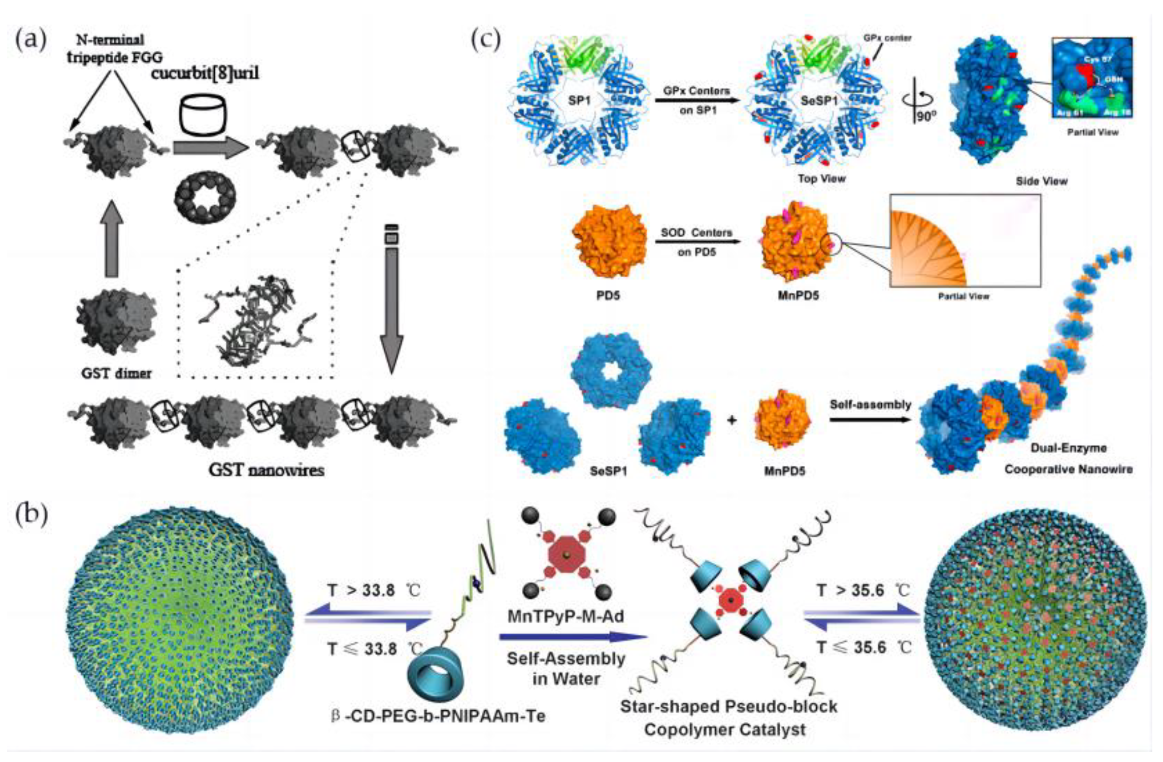 Biomimetics 08 00054 g007