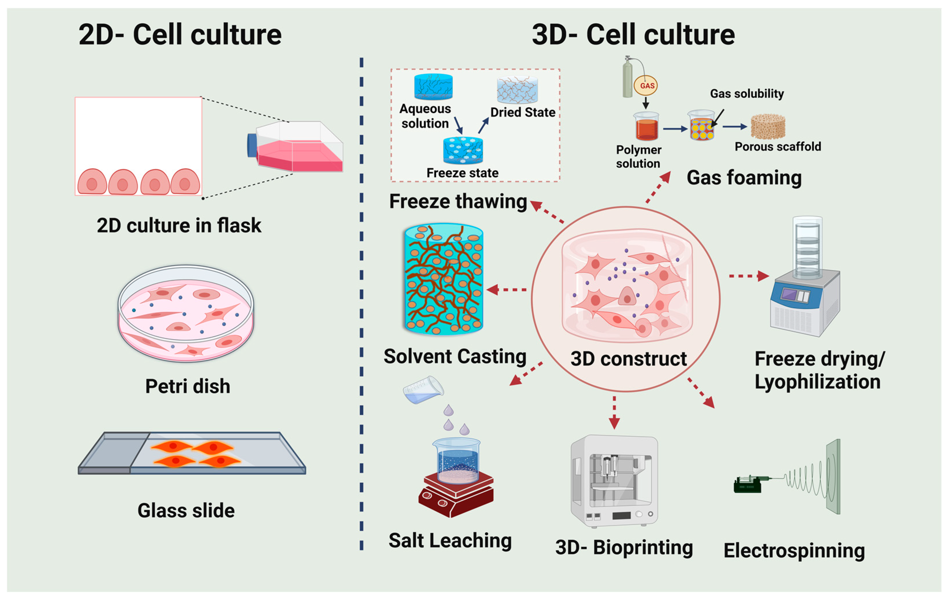 Biomimetics 08 00055 g004
