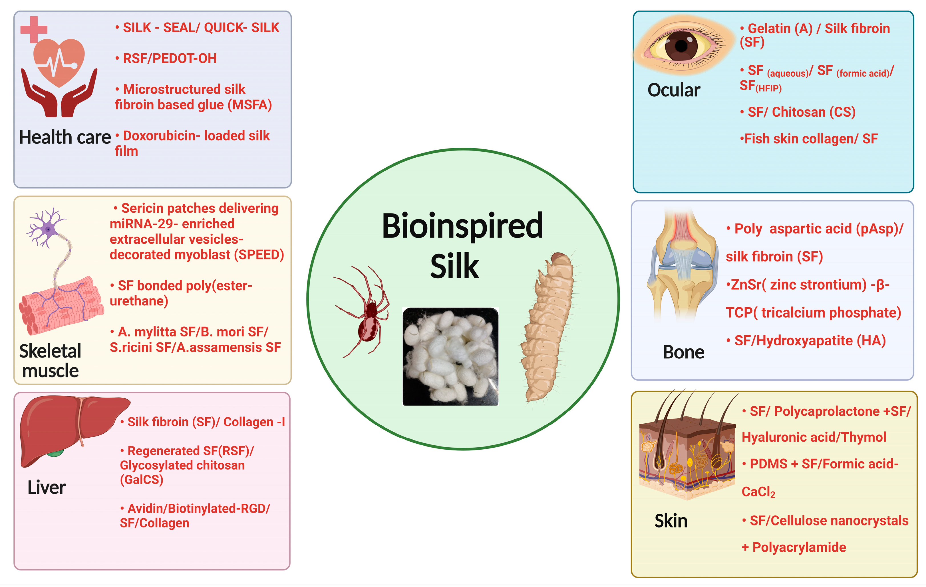 Biomimetics 08 00055 g005