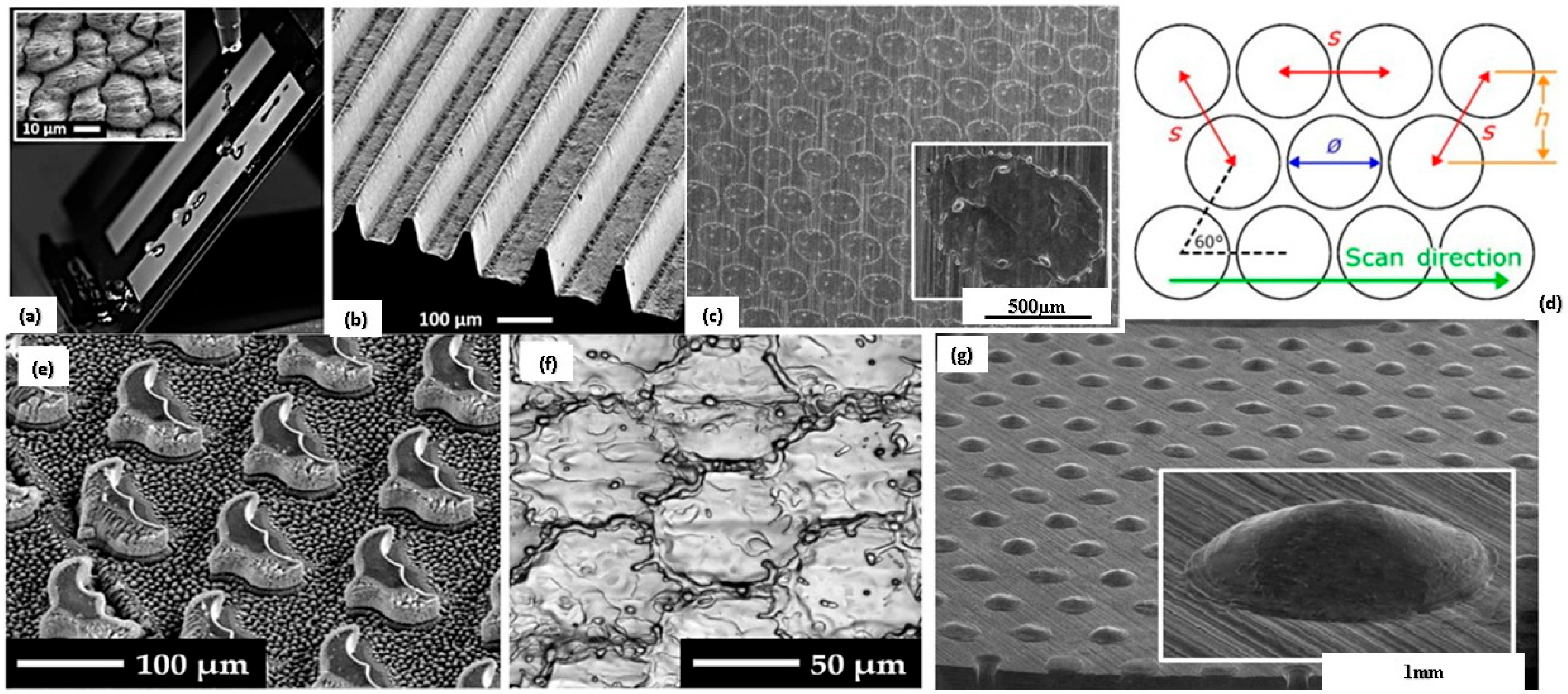 Biomimetics 08 00062 g003 Biomimetics 08 00062 g003