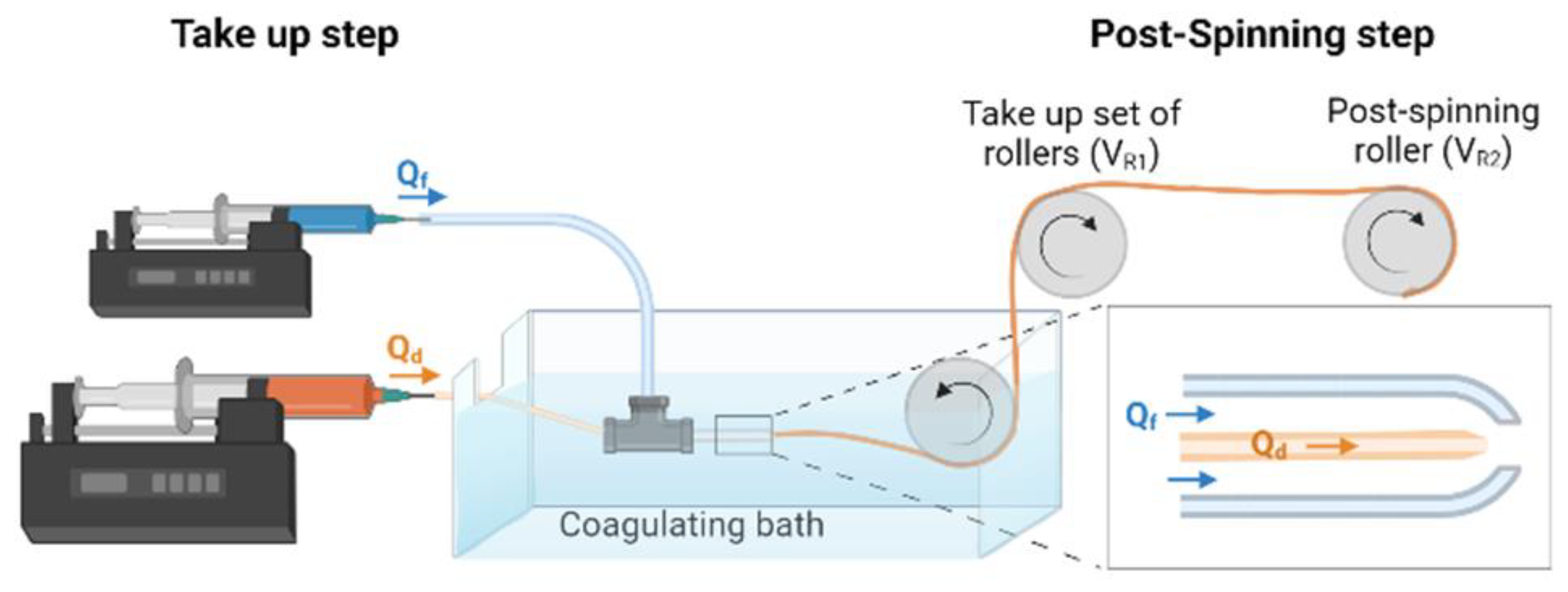 Biomimetics 08 00065 g001 Biomimetics 08 00065 g001