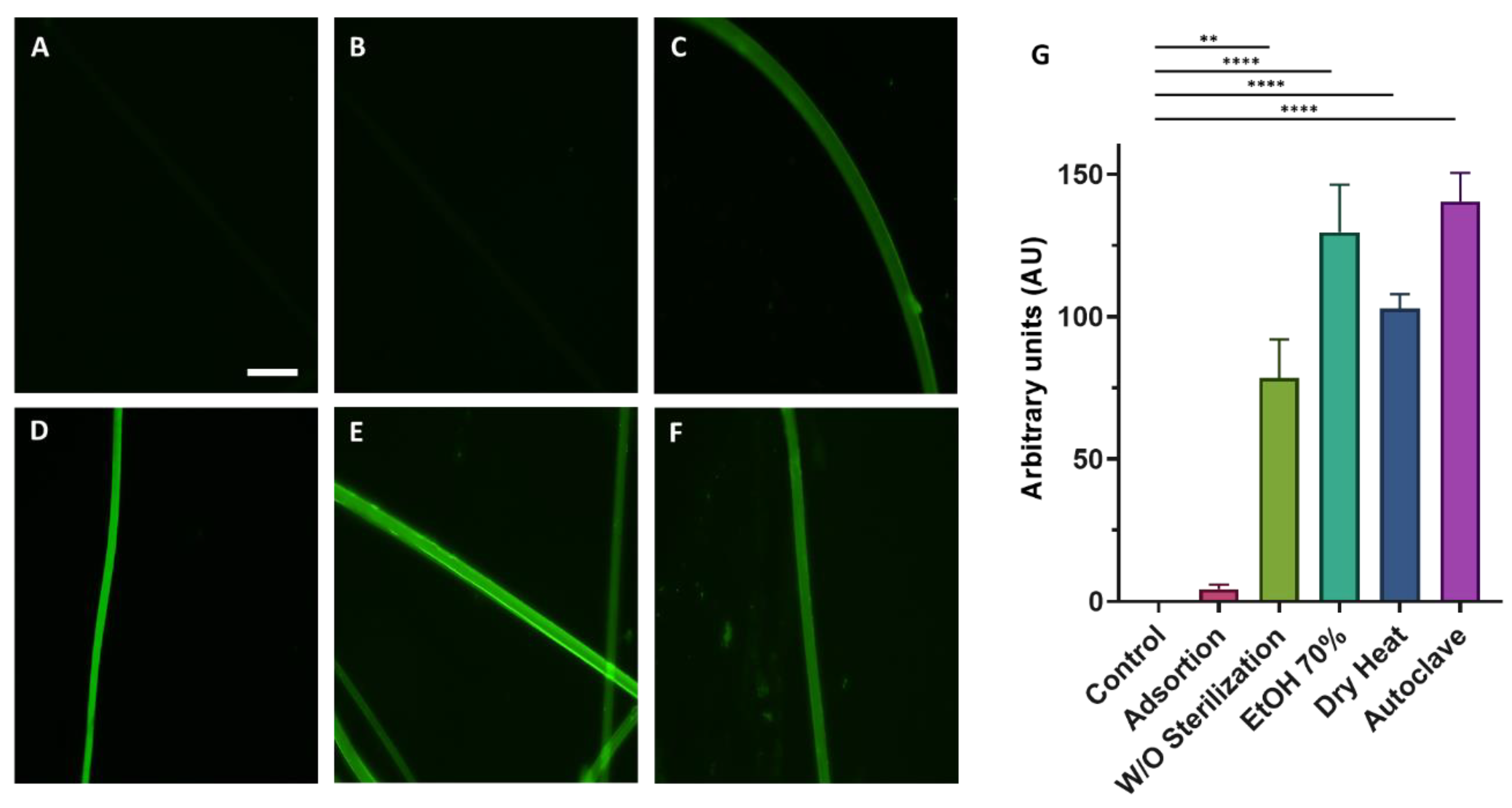 Biomimetics 08 00065 g002 Biomimetics 08 00065 g002