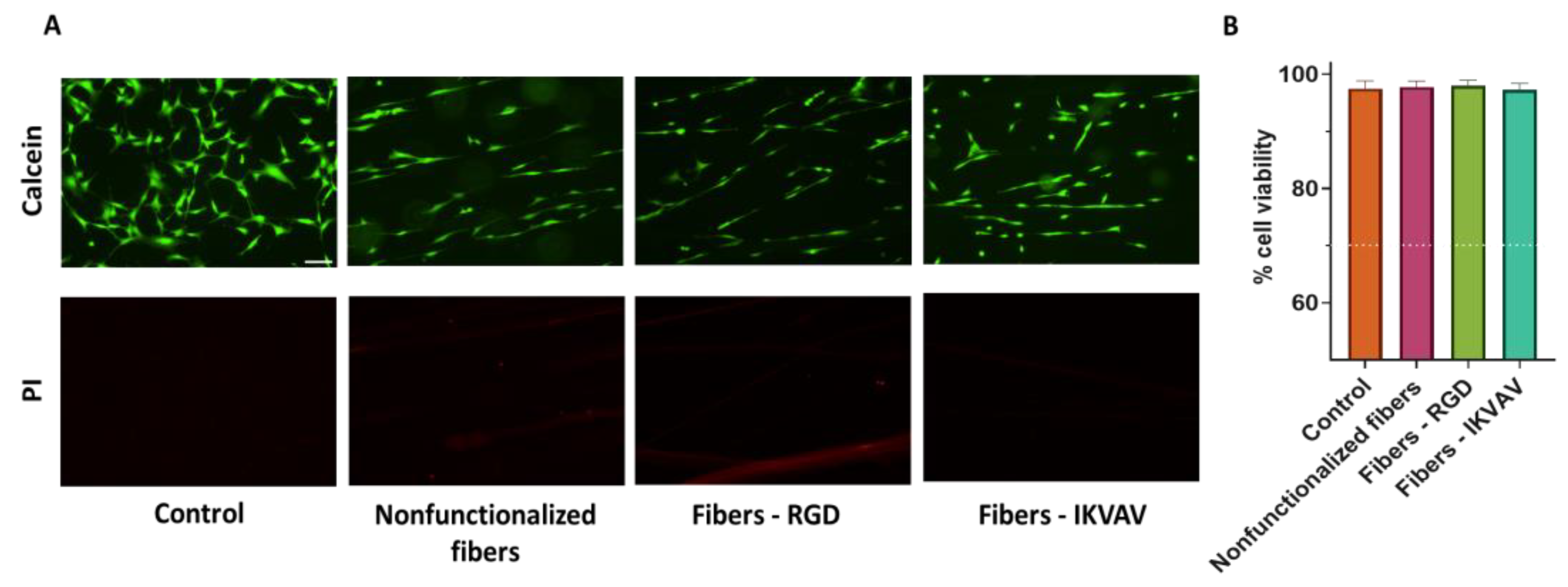 Biomimetics 08 00065 g004 Biomimetics 08 00065 g004