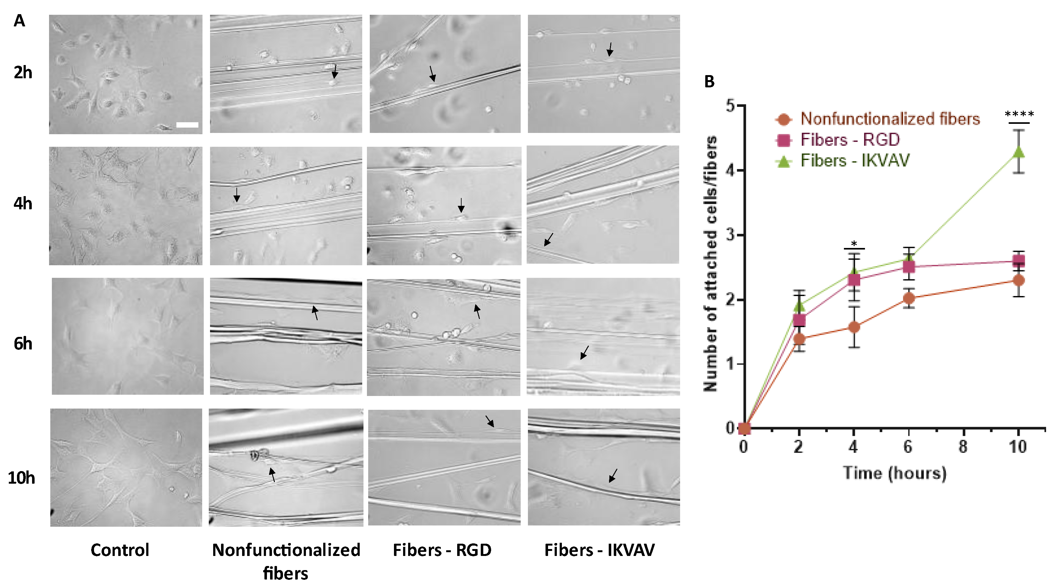 Biomimetics 08 00065 g005 Biomimetics 08 00065 g005