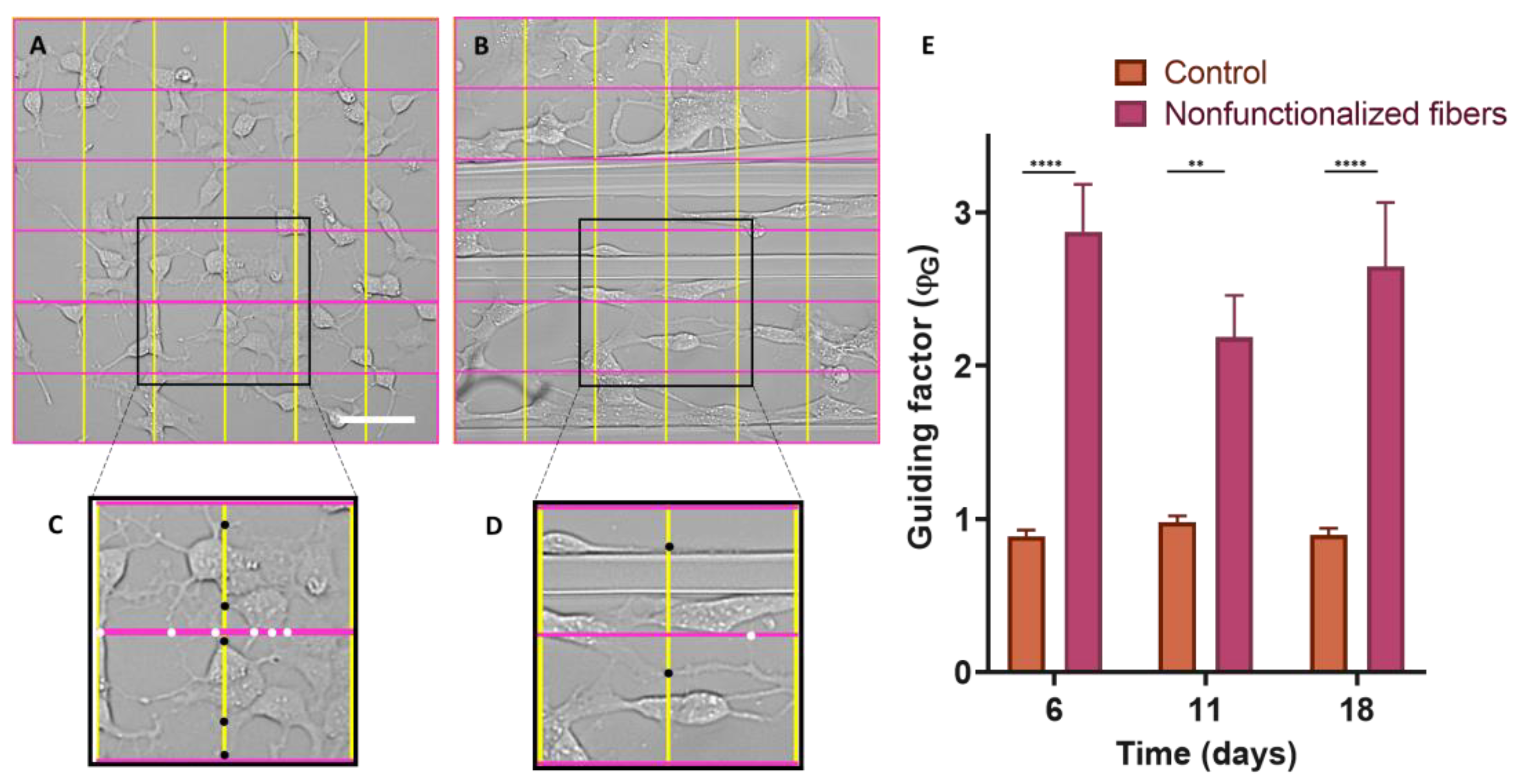 Biomimetics 08 00065 g008 Biomimetics 08 00065 g008