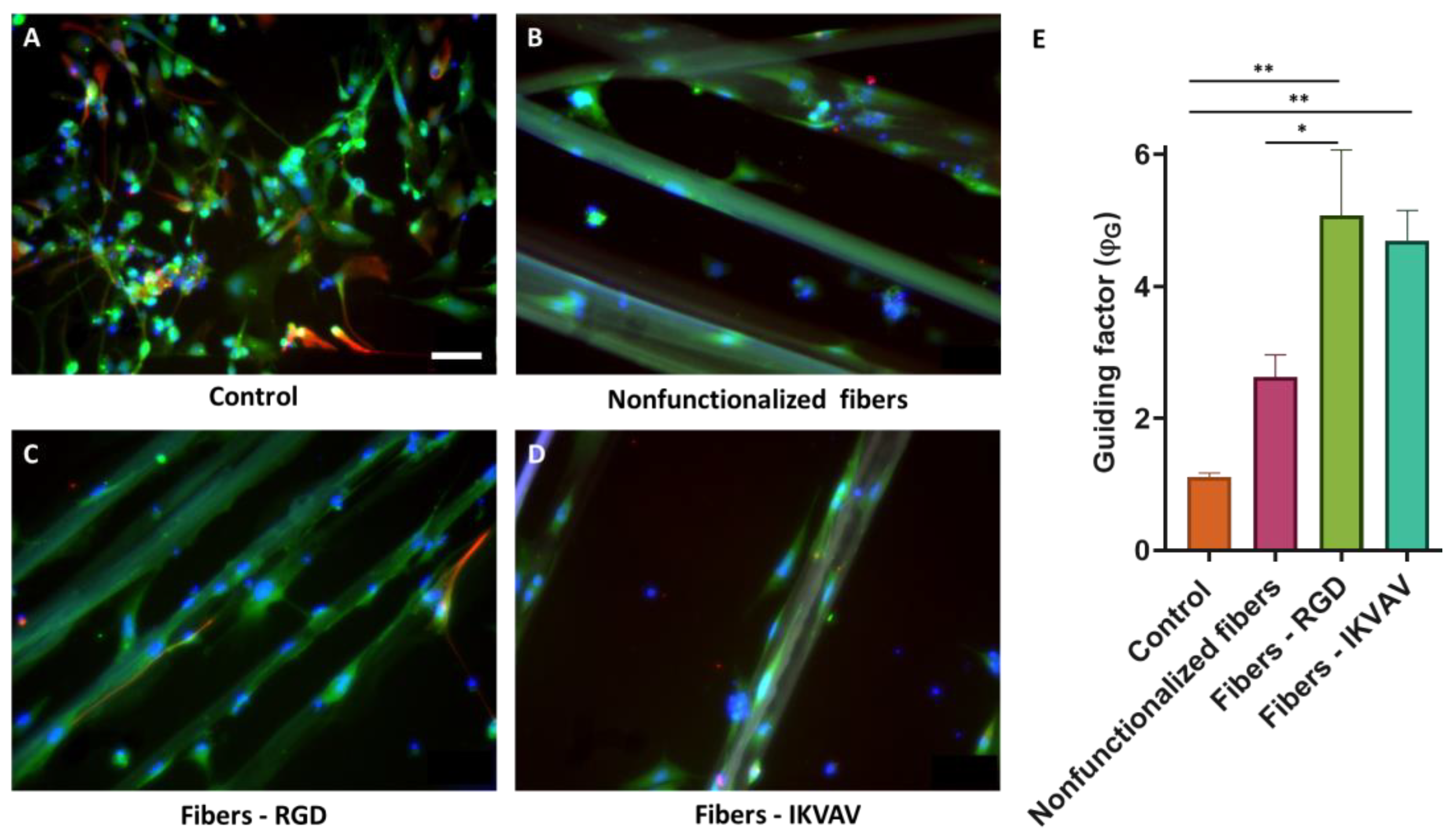 Biomimetics 08 00065 g010 Biomimetics 08 00065 g010