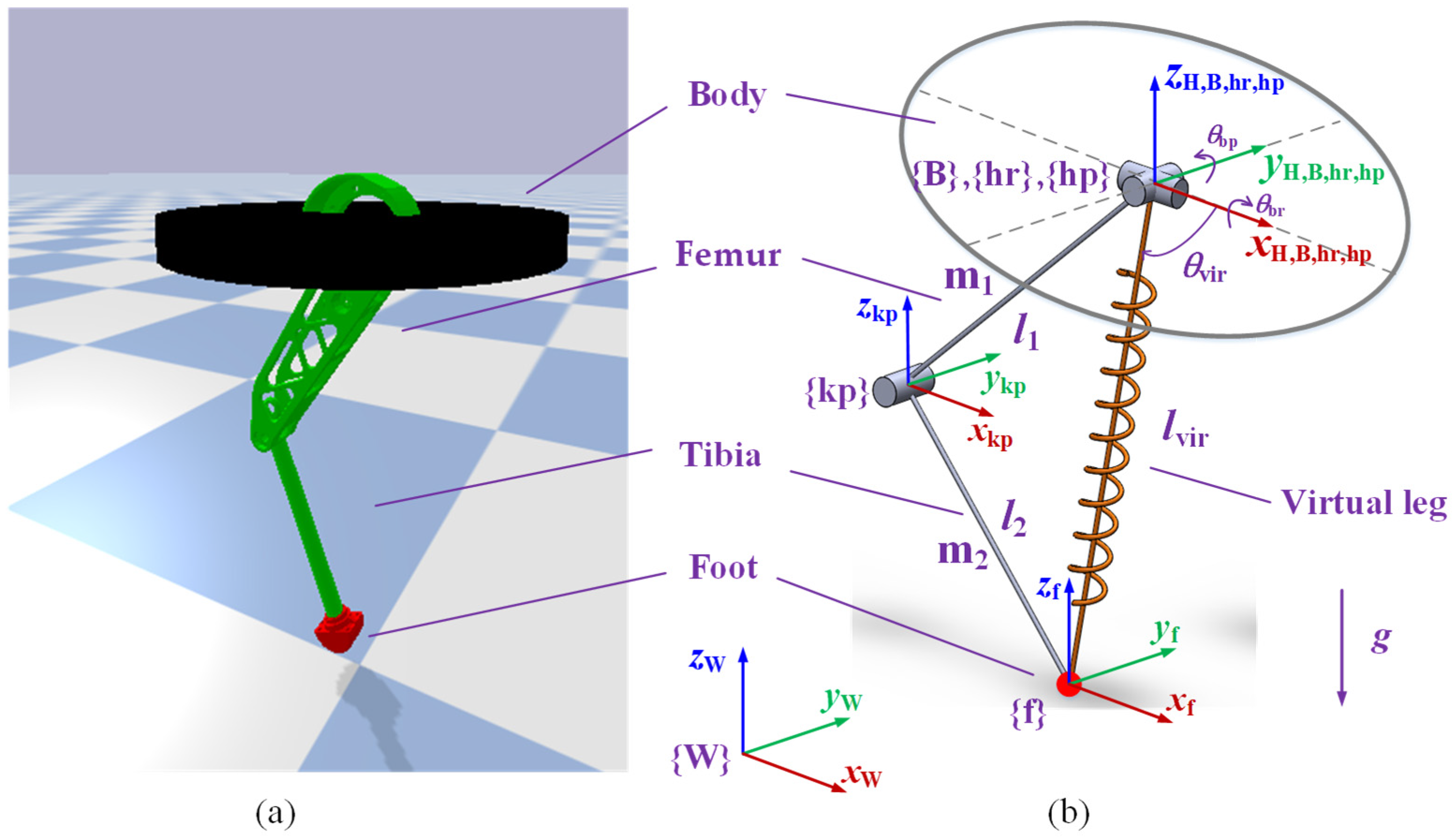 Biomimetics 08 00066 g001