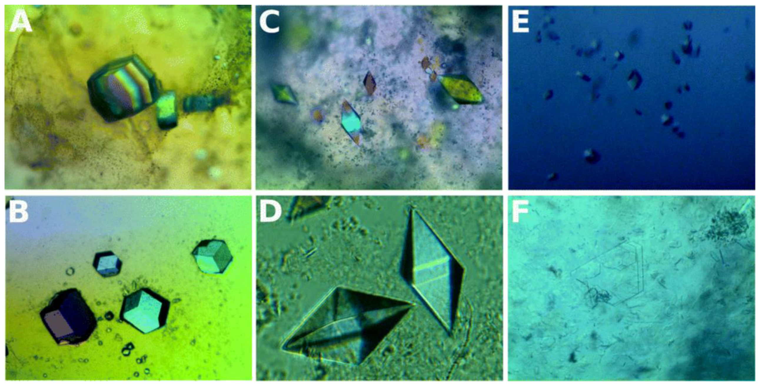 Biomimetics 08 00068 g003