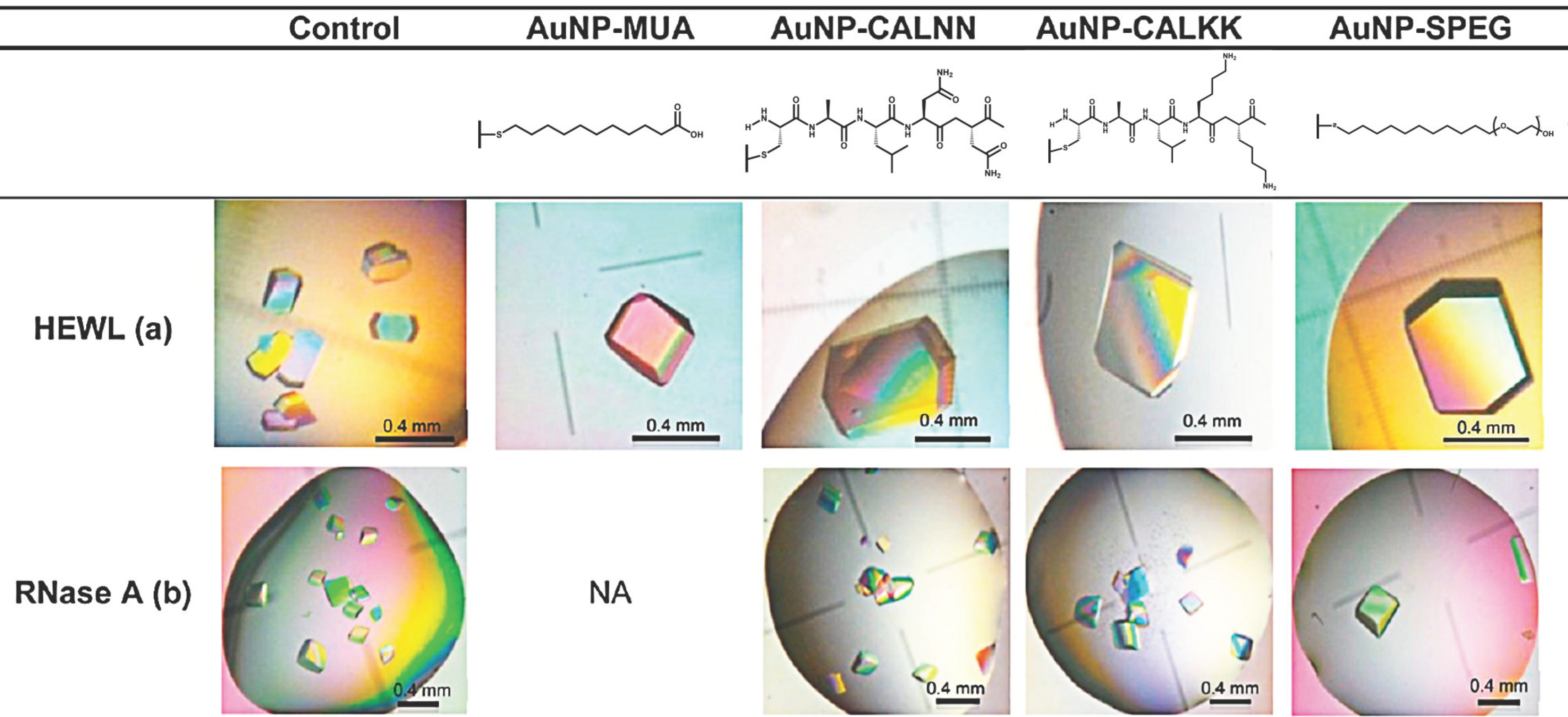 Biomimetics 08 00068 g006