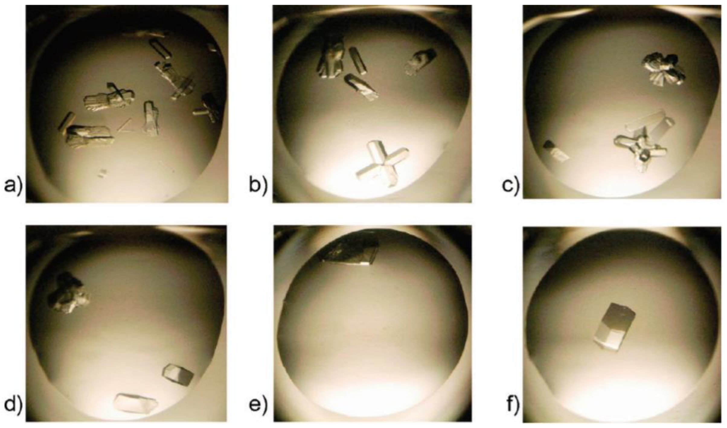 Biomimetics 08 00068 g007