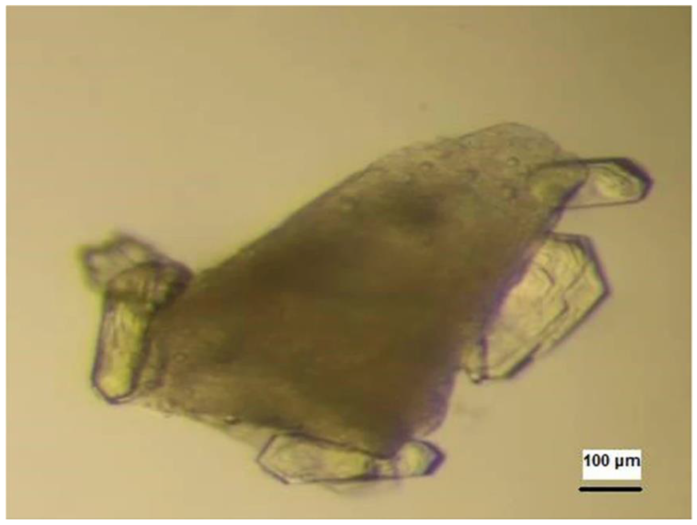 Biomimetics 08 00068 g008