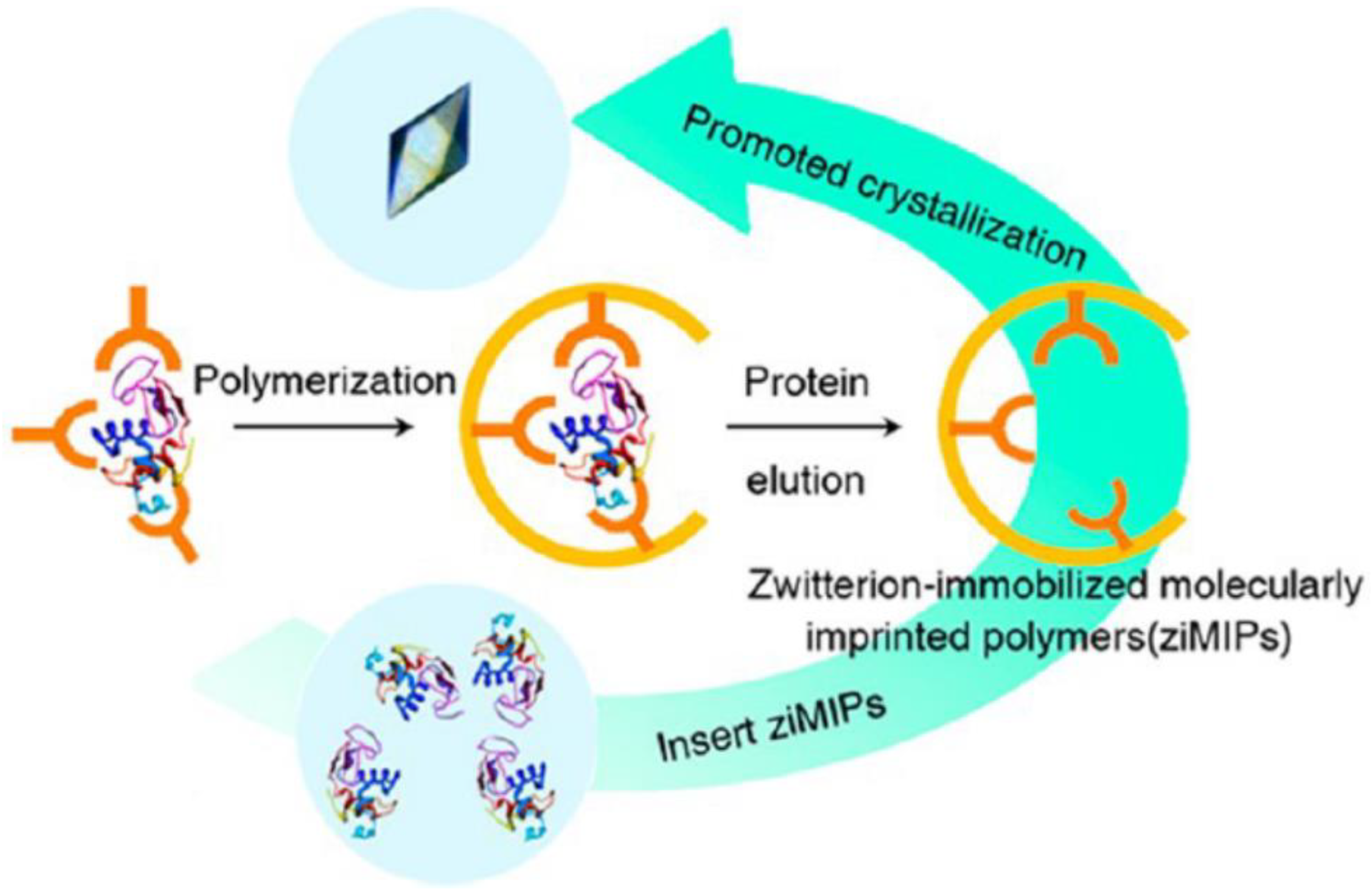 Biomimetics 08 00068 g009