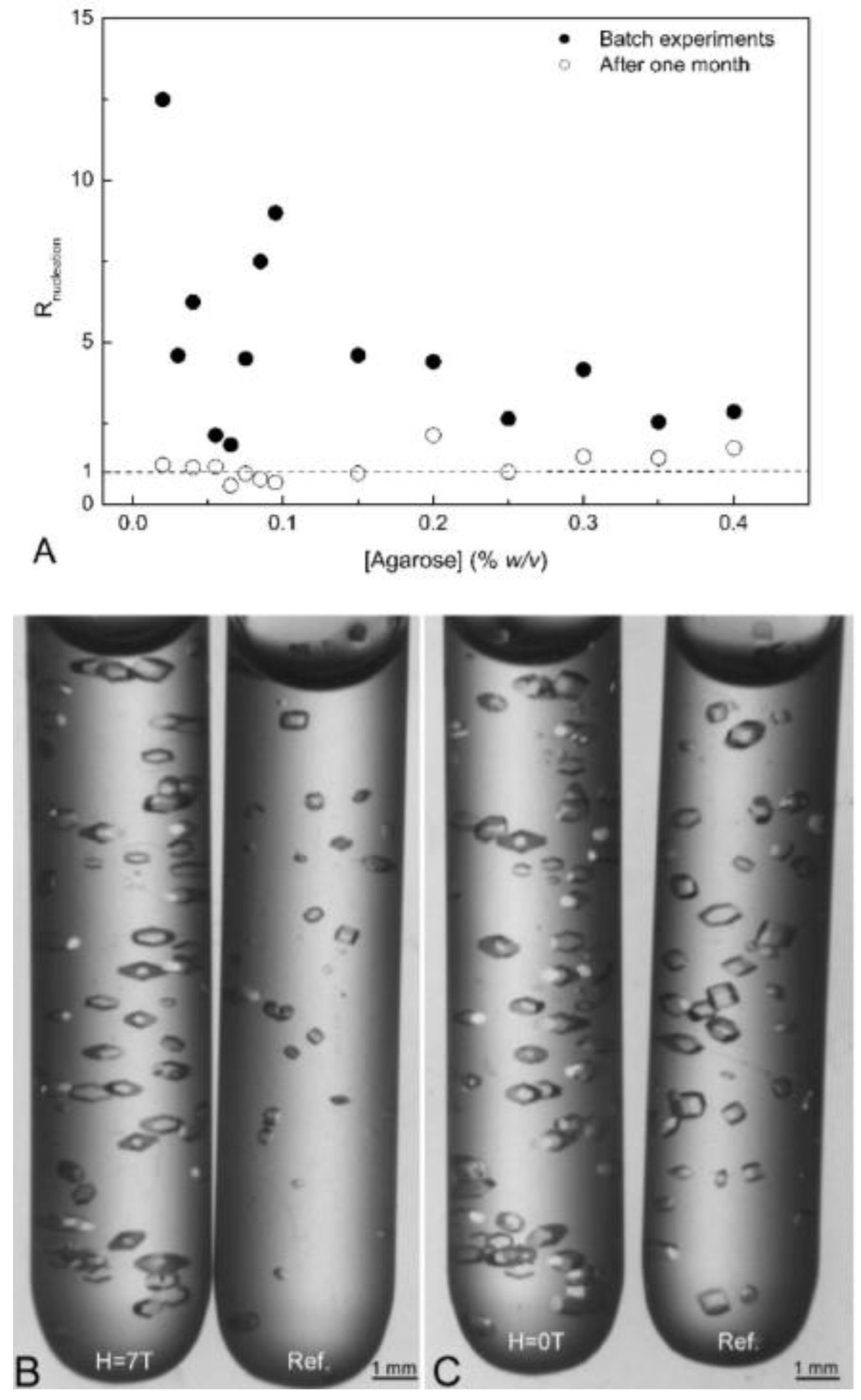 Biomimetics 08 00068 g011
