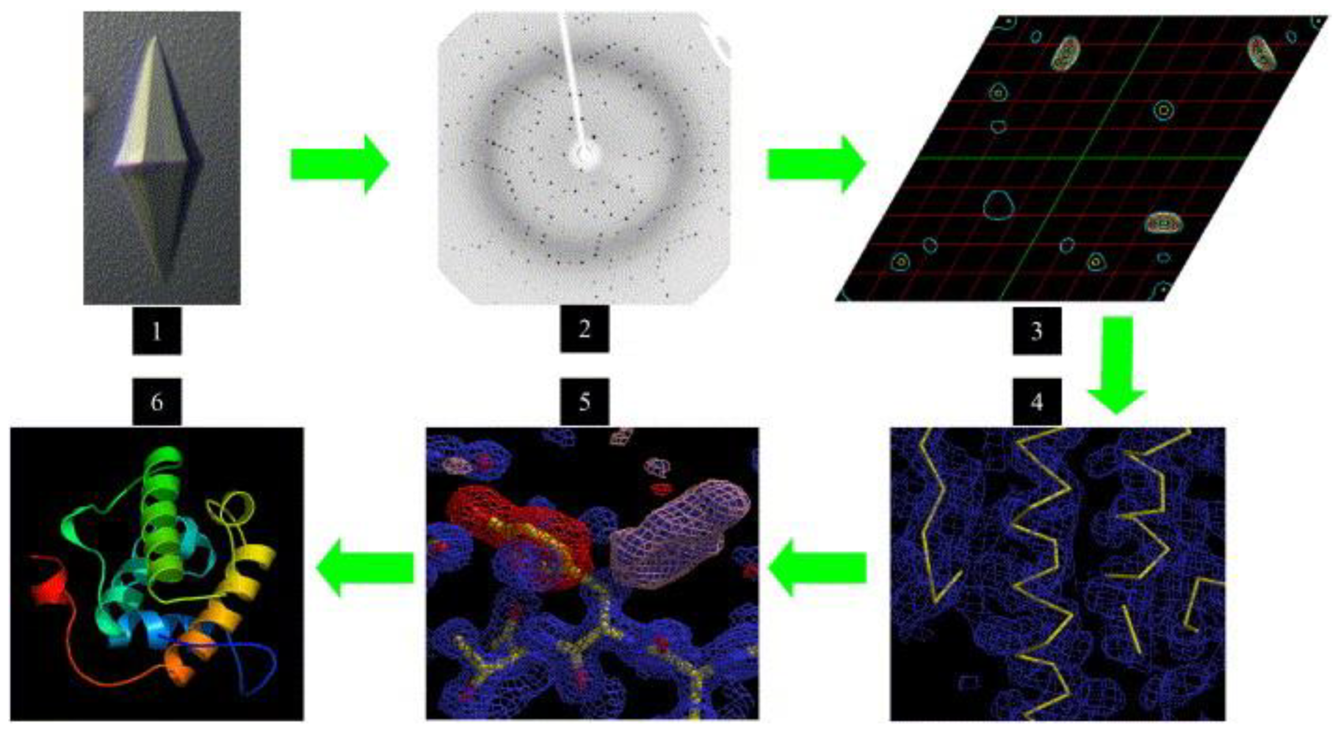 Biomimetics 08 00068 g014