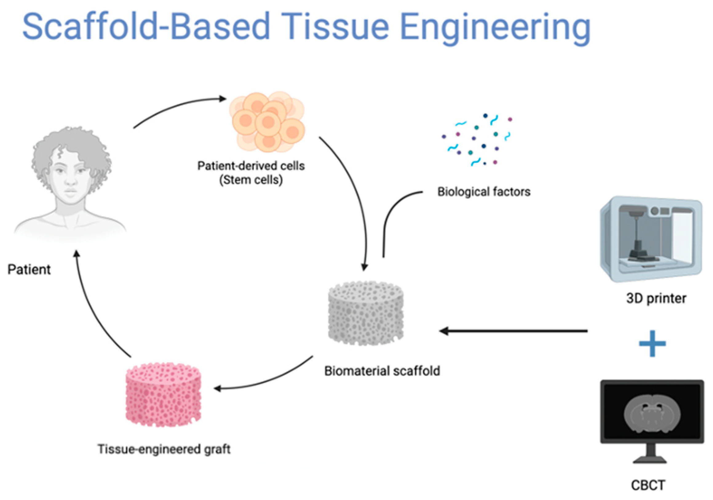 Biomimetics 08 00078 g001