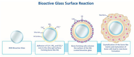 Biomimetics 08 00081 g002