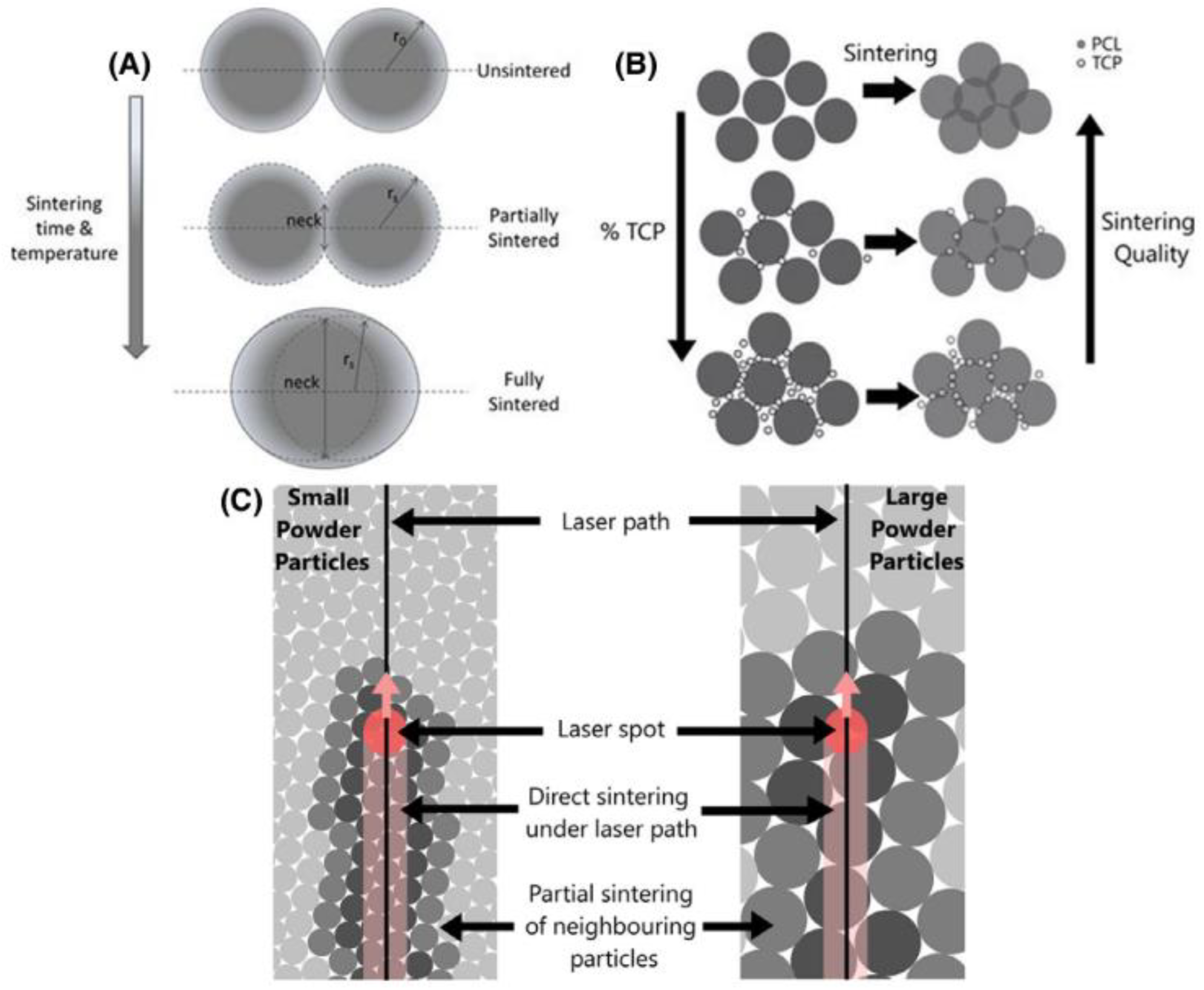 A Review on Manufacturing Processes of Biocomposites Based on Poly(α ...