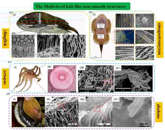 Biomimetics 08 00085 g002