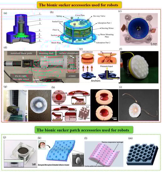 Biomimetics 08 00085 g006