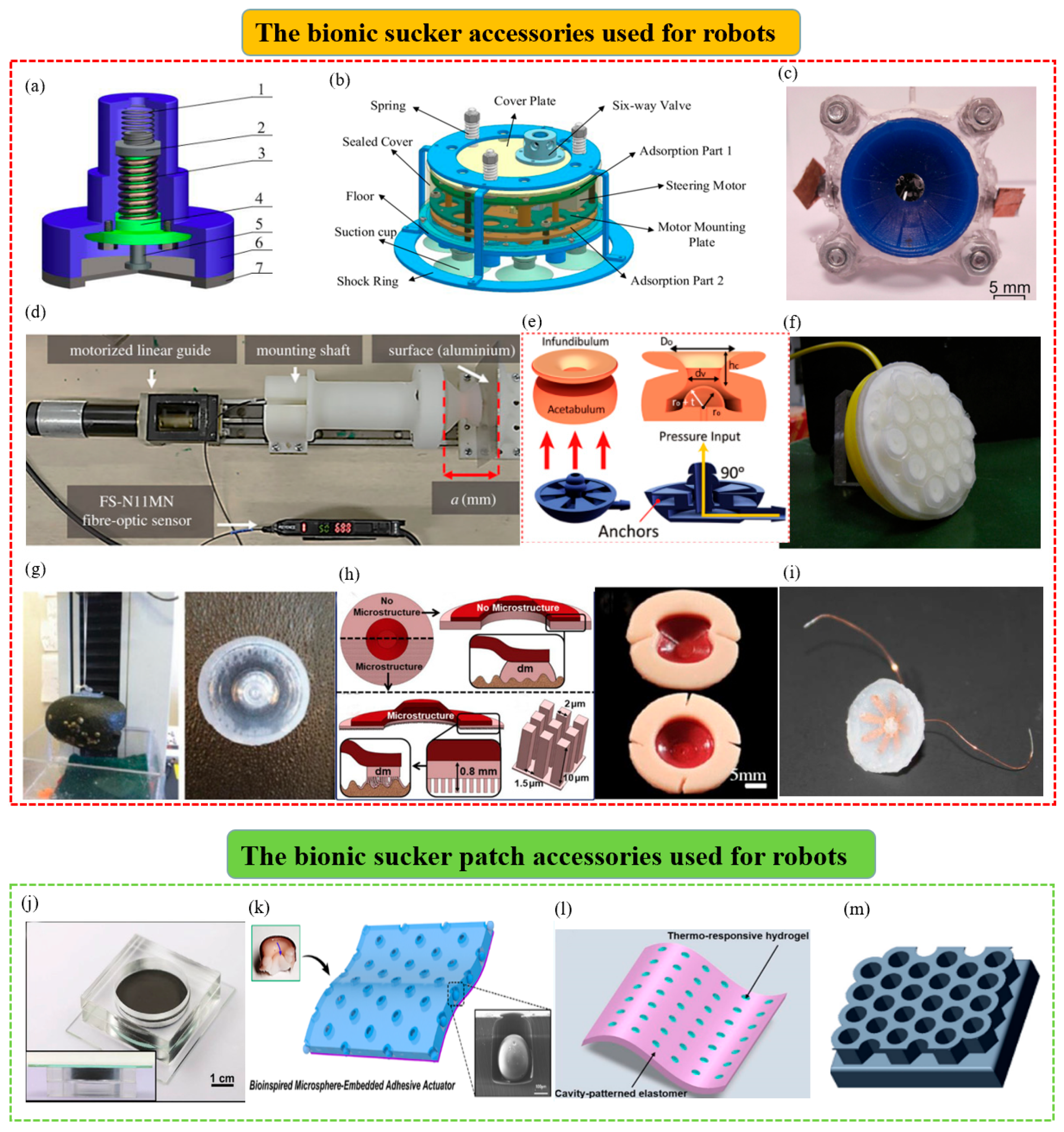 Biomimetics 08 00085 g006 Biomimetics 08 00085 g006
