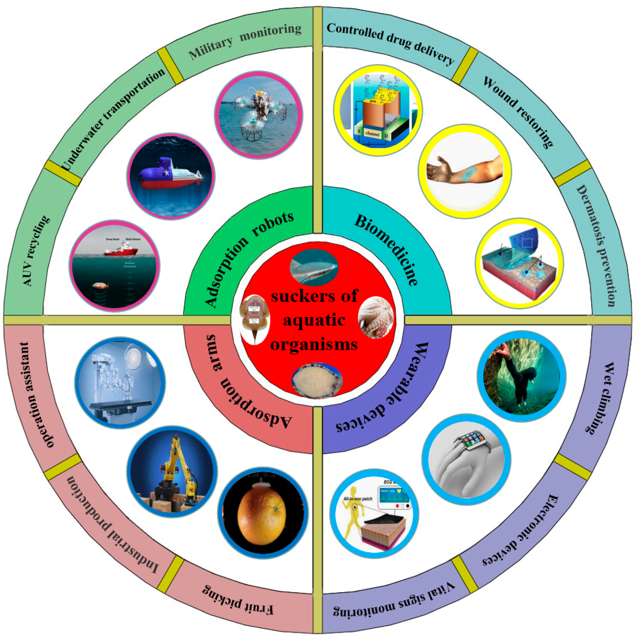 Biomimetics 08 00085 g009 Biomimetics 08 00085 g009