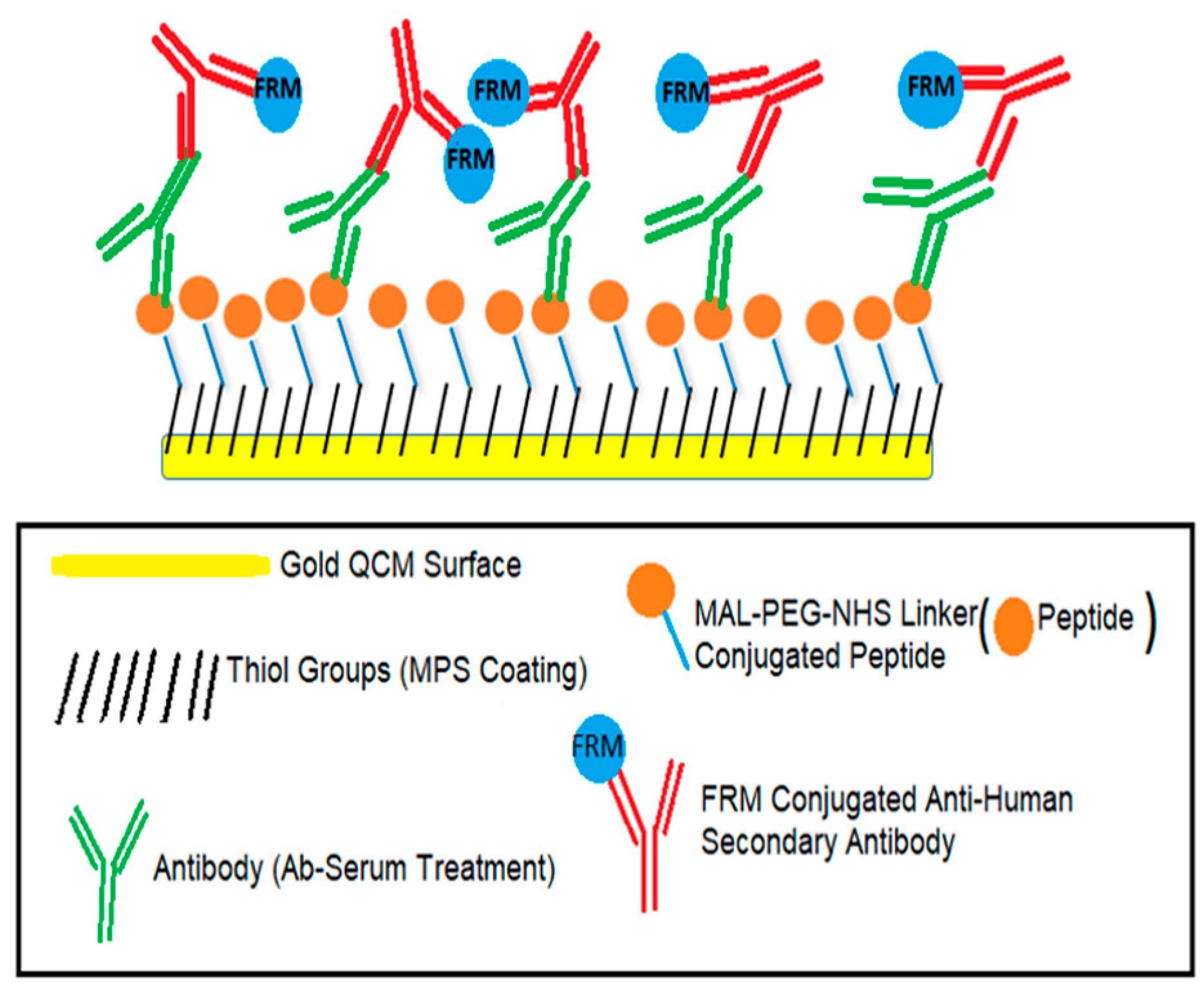 Biomimetics 08 00089 g001 Biomimetics 08 00089 g001