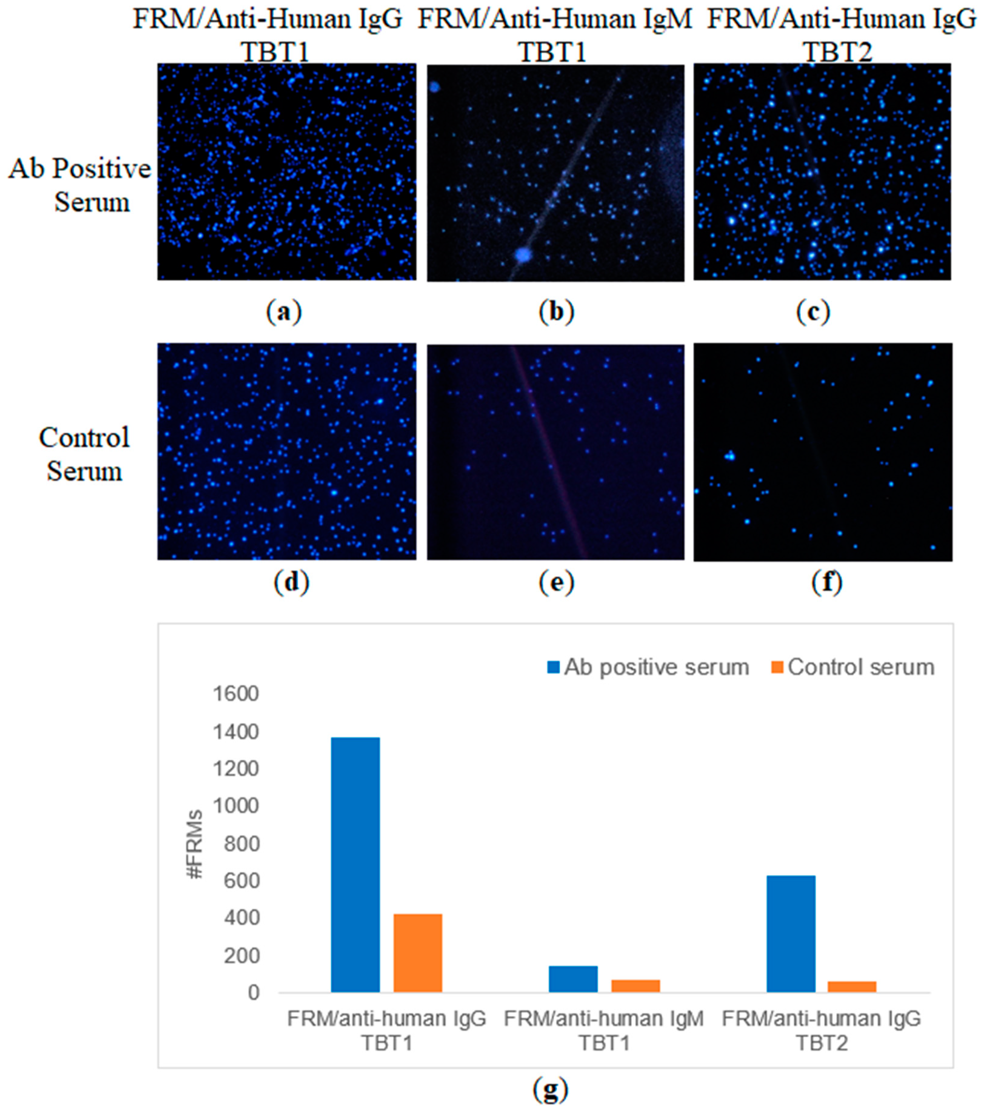 Biomimetics 08 00089 g007 Biomimetics 08 00089 g007