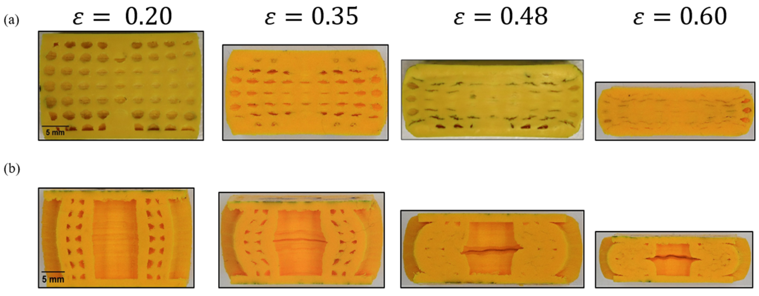 Biomimetics 08 00092 g009