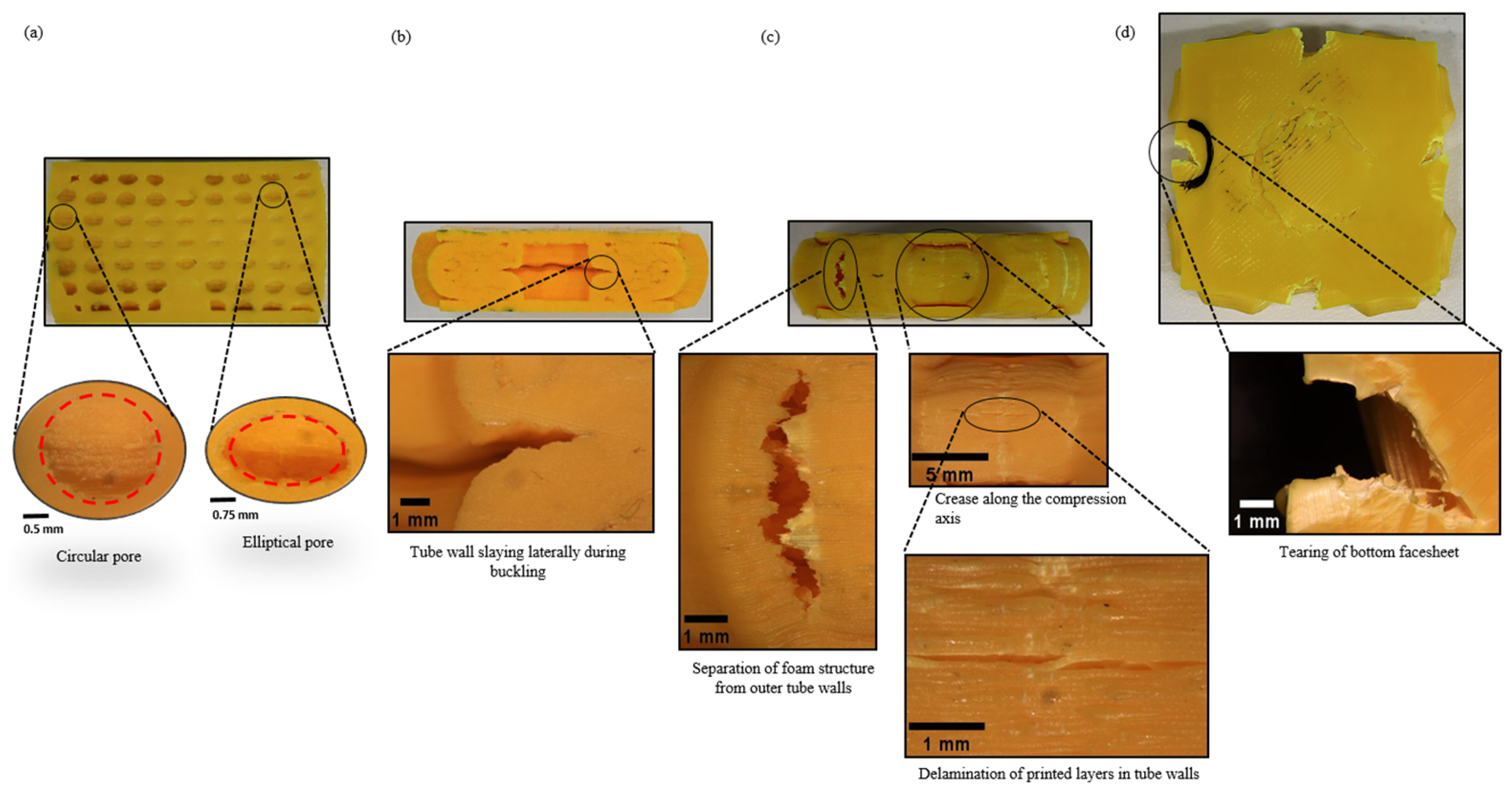 Biomimetics 08 00092 g010