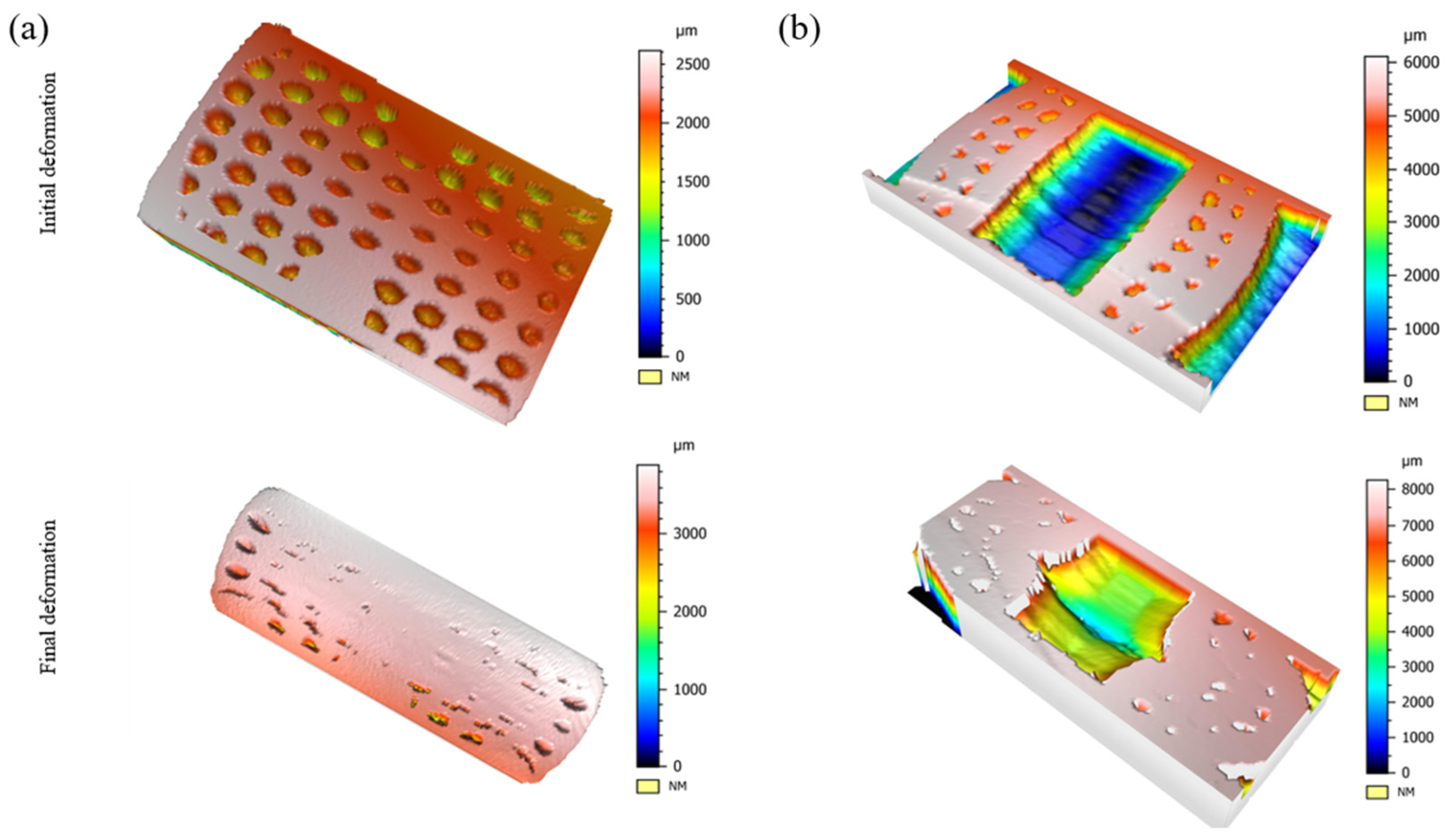 Biomimetics 08 00092 g011