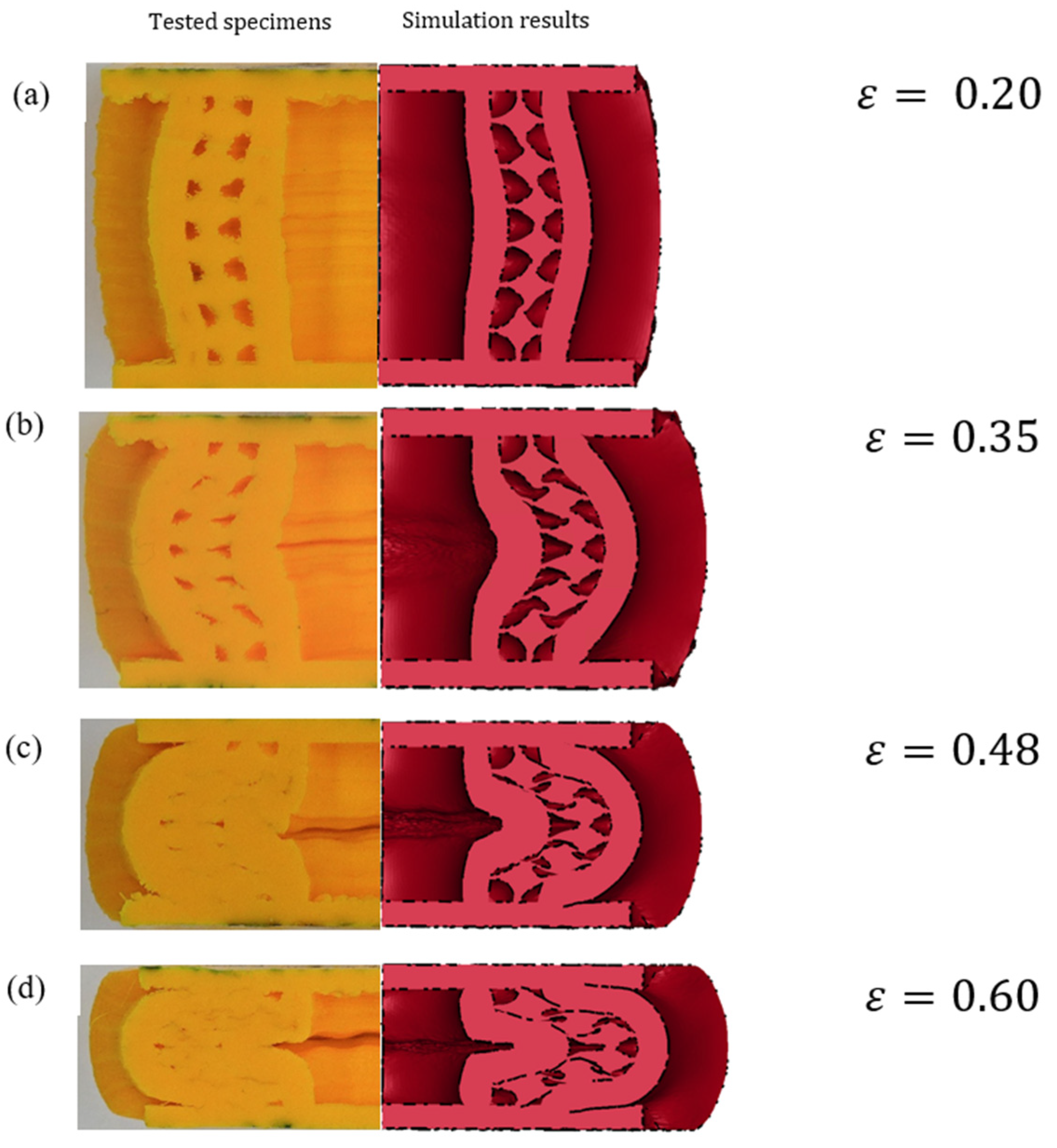 Biomimetics 08 00092 g014