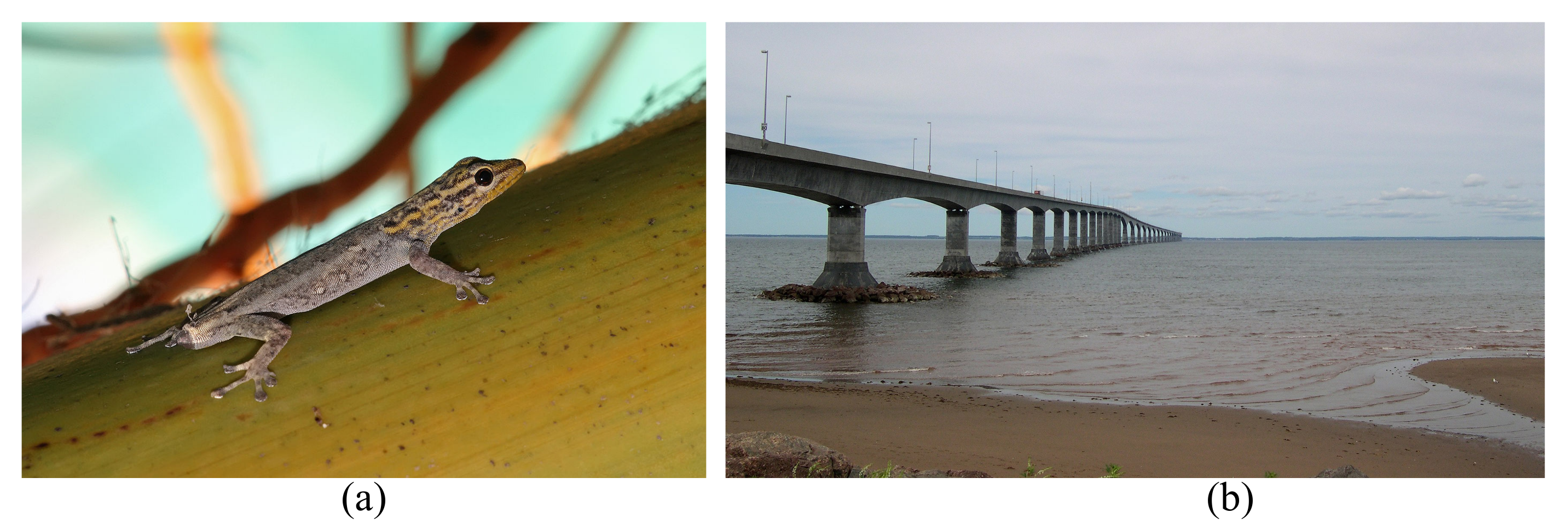 Biomimetics 08 00095 g002