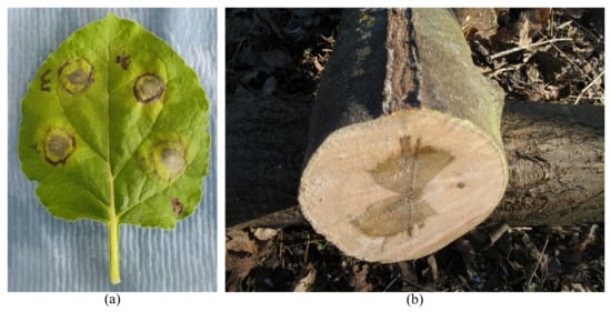 Biomimetics 08 00095 g003