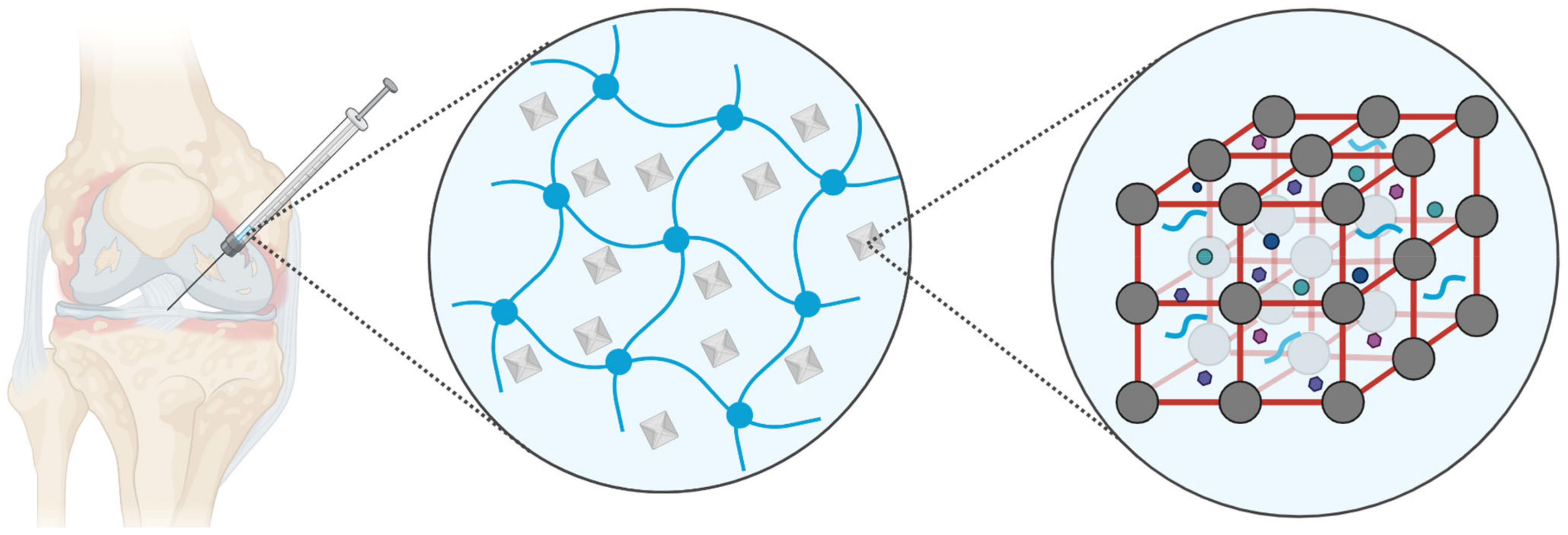 Biomimetics 08 00097 g002