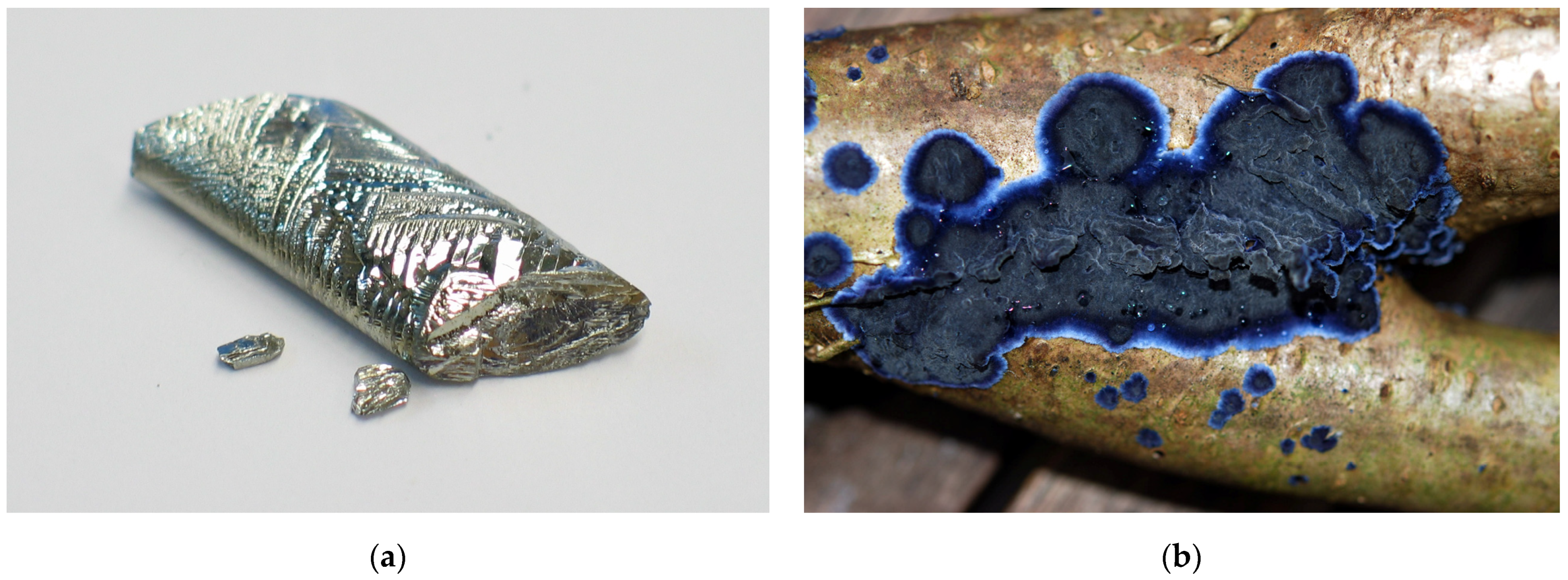 Biomimetics 08 00102 g002