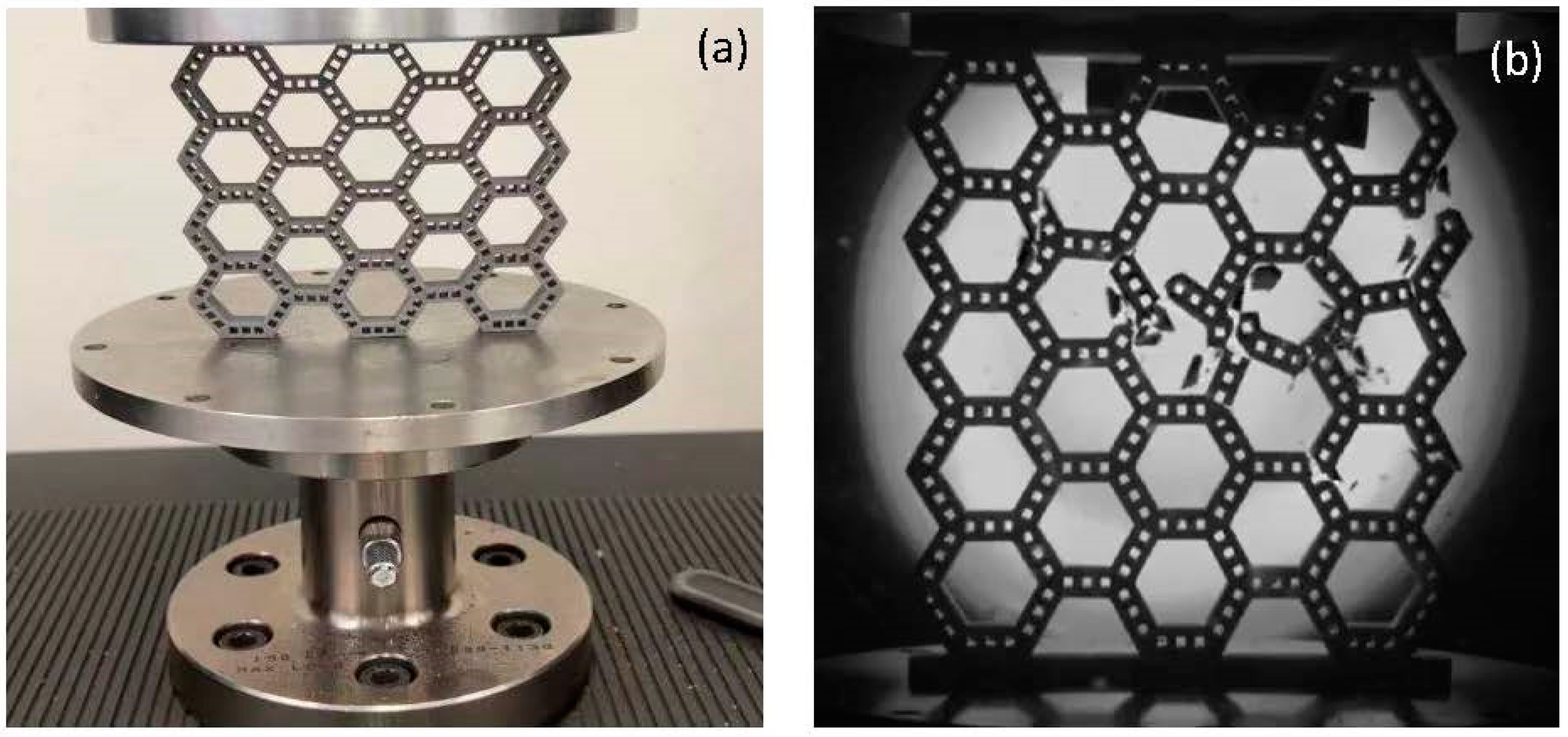 Biomimetics 08 00103 g002