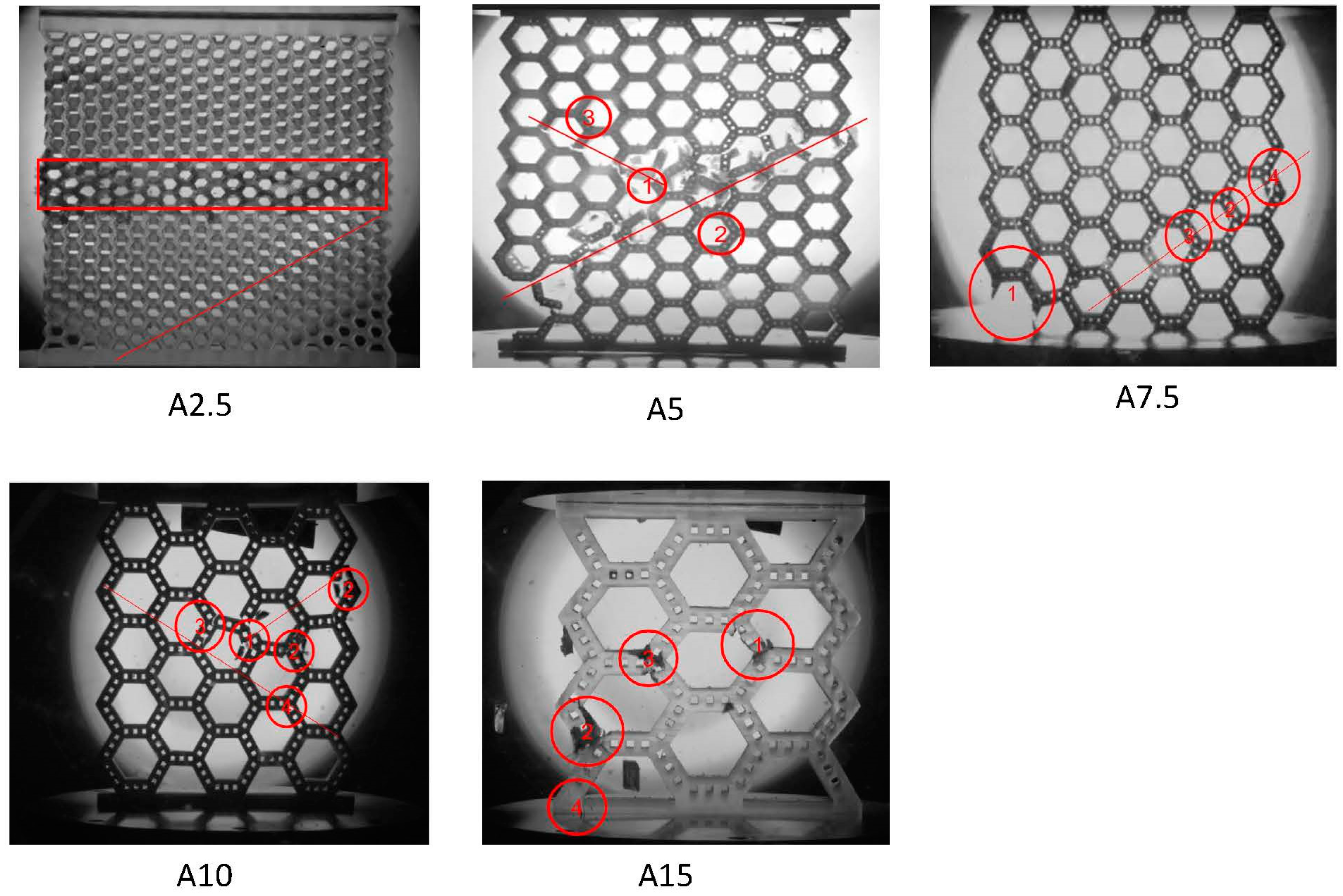 Biomimetics 08 00103 g006