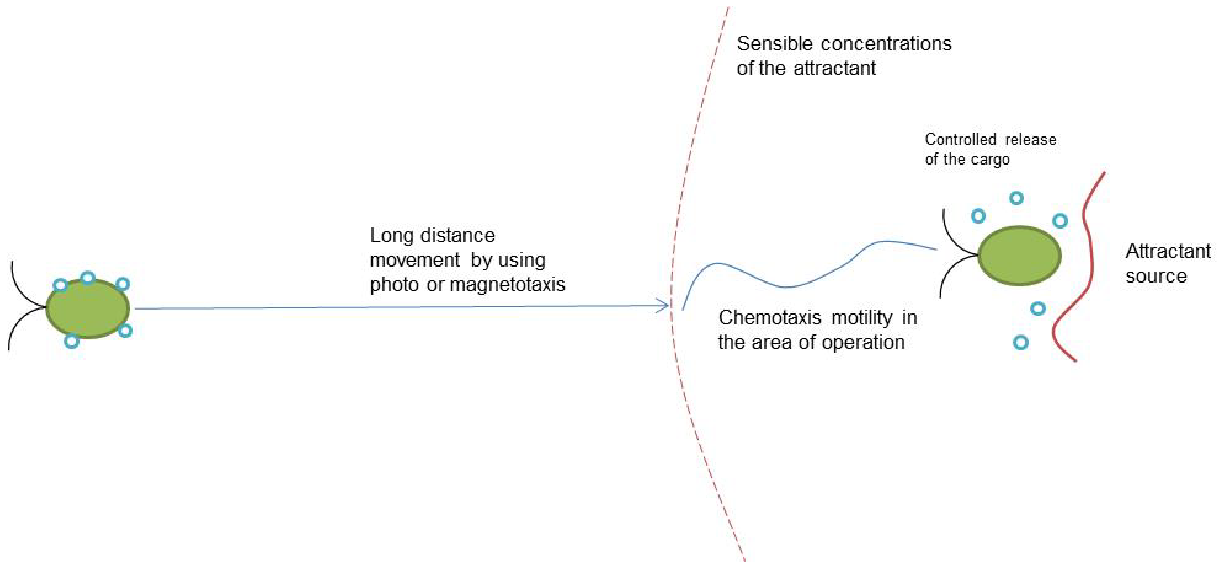 Biomimetics 08 00109 g002
