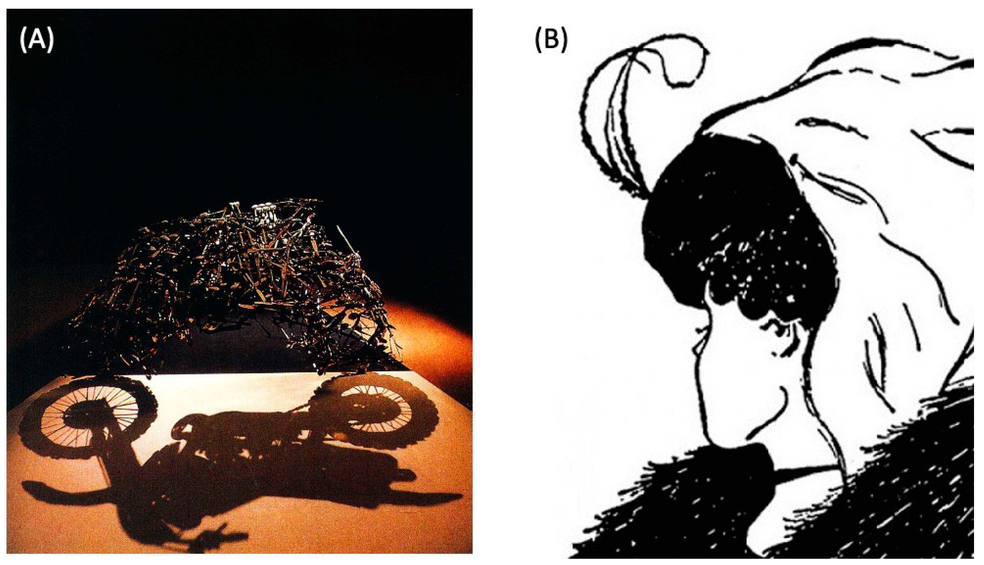 Biomimetics 08 00110 g001 Biomimetics 08 00110 g001