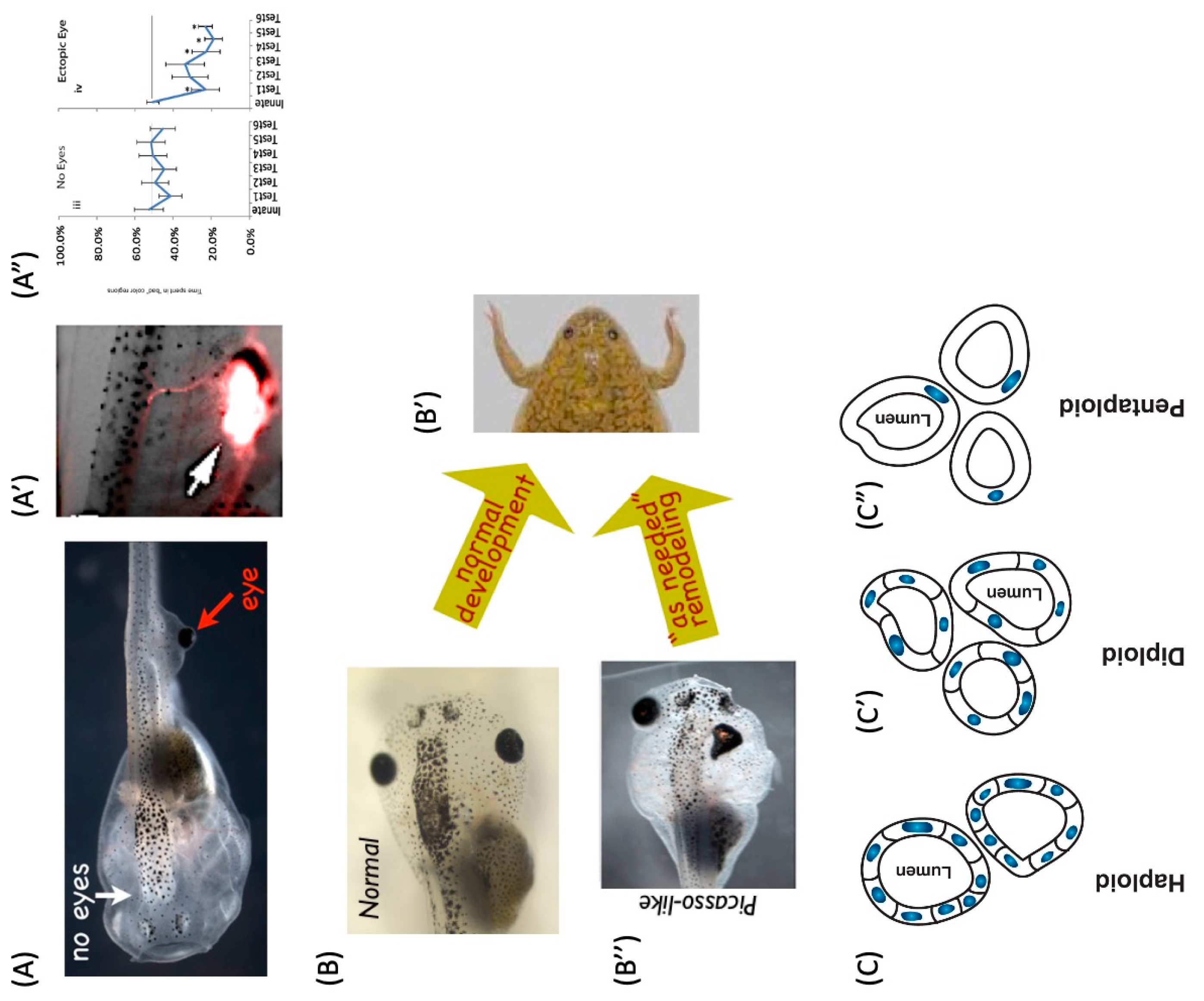 Biomimetics 08 00110 g005 Biomimetics 08 00110 g005