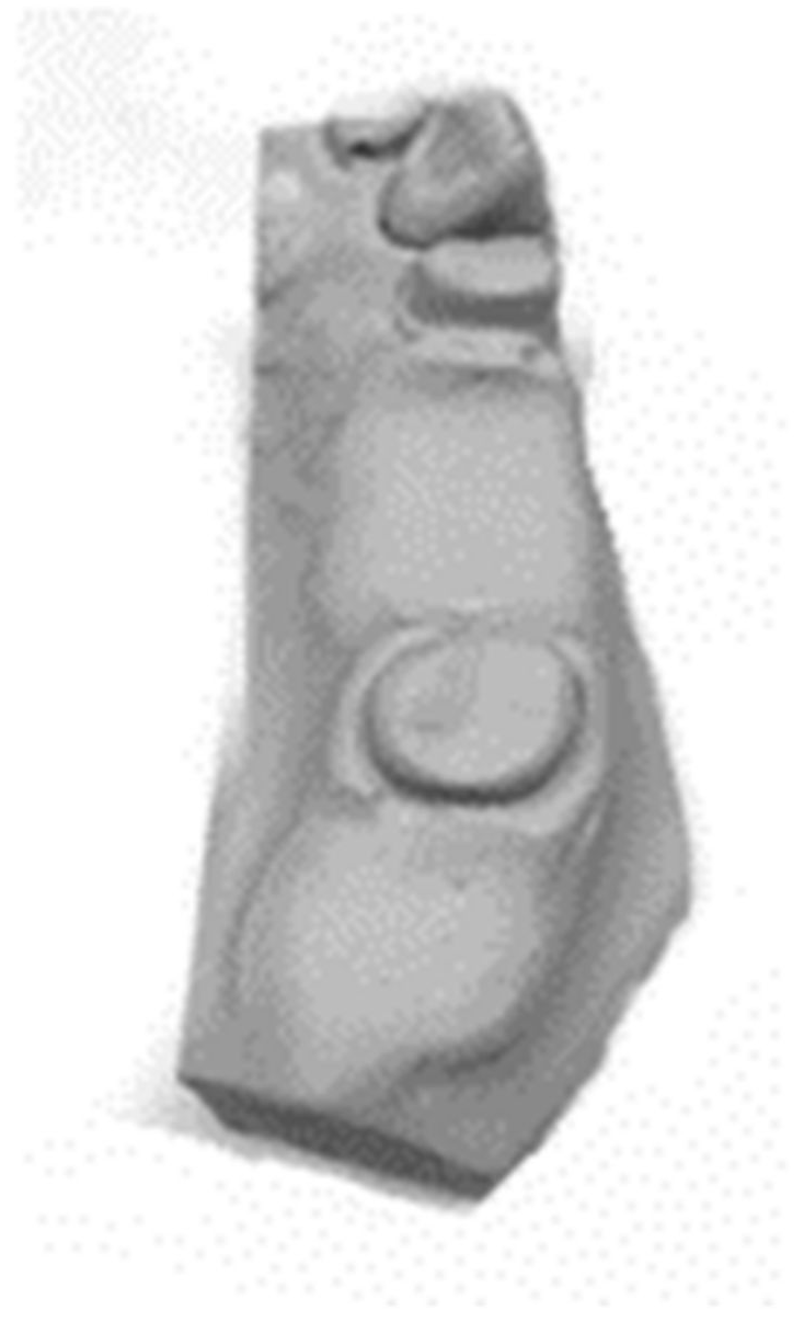 Biomimetics 08 00113 g002