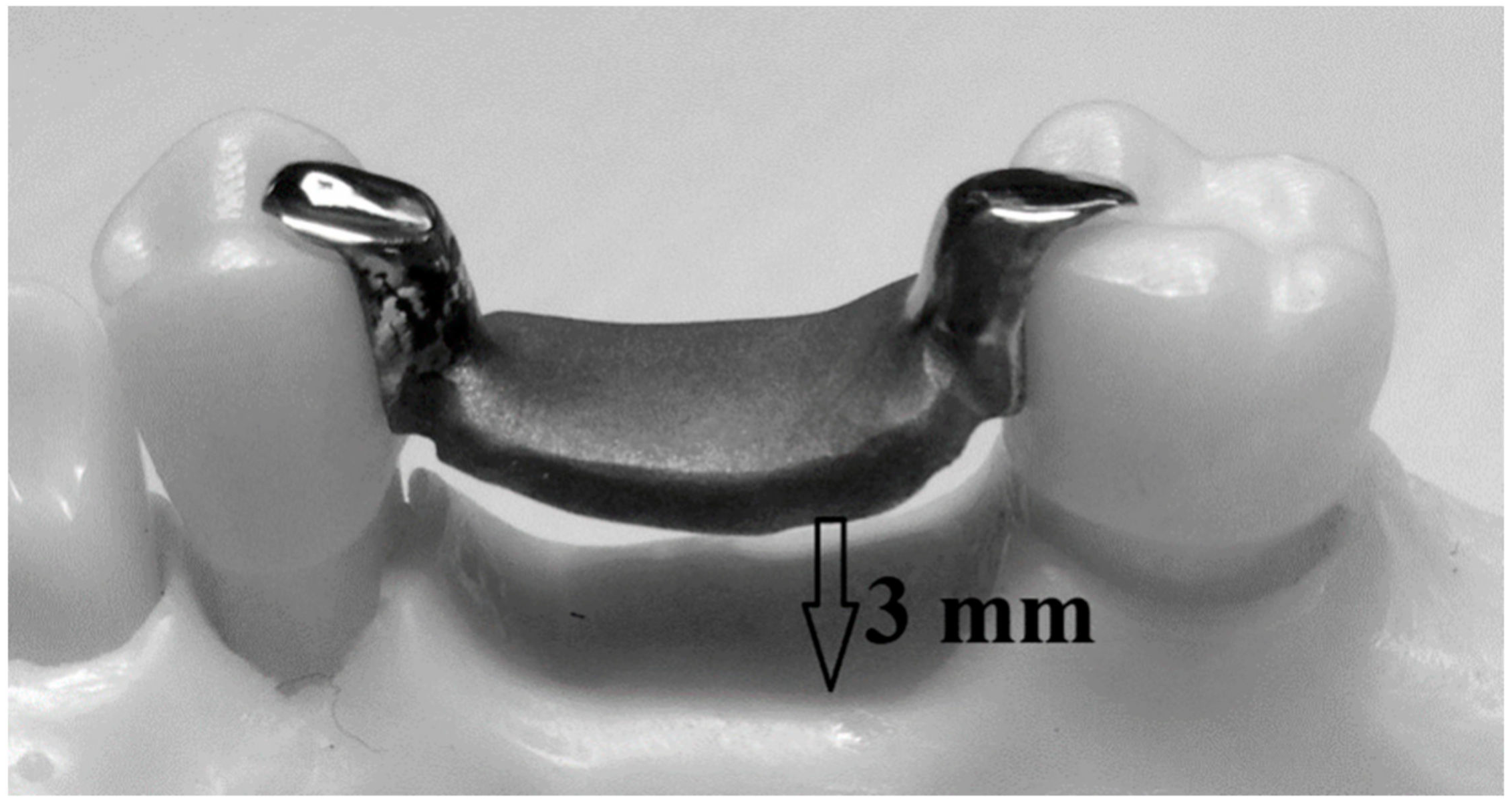 Biomimetics 08 00113 g003