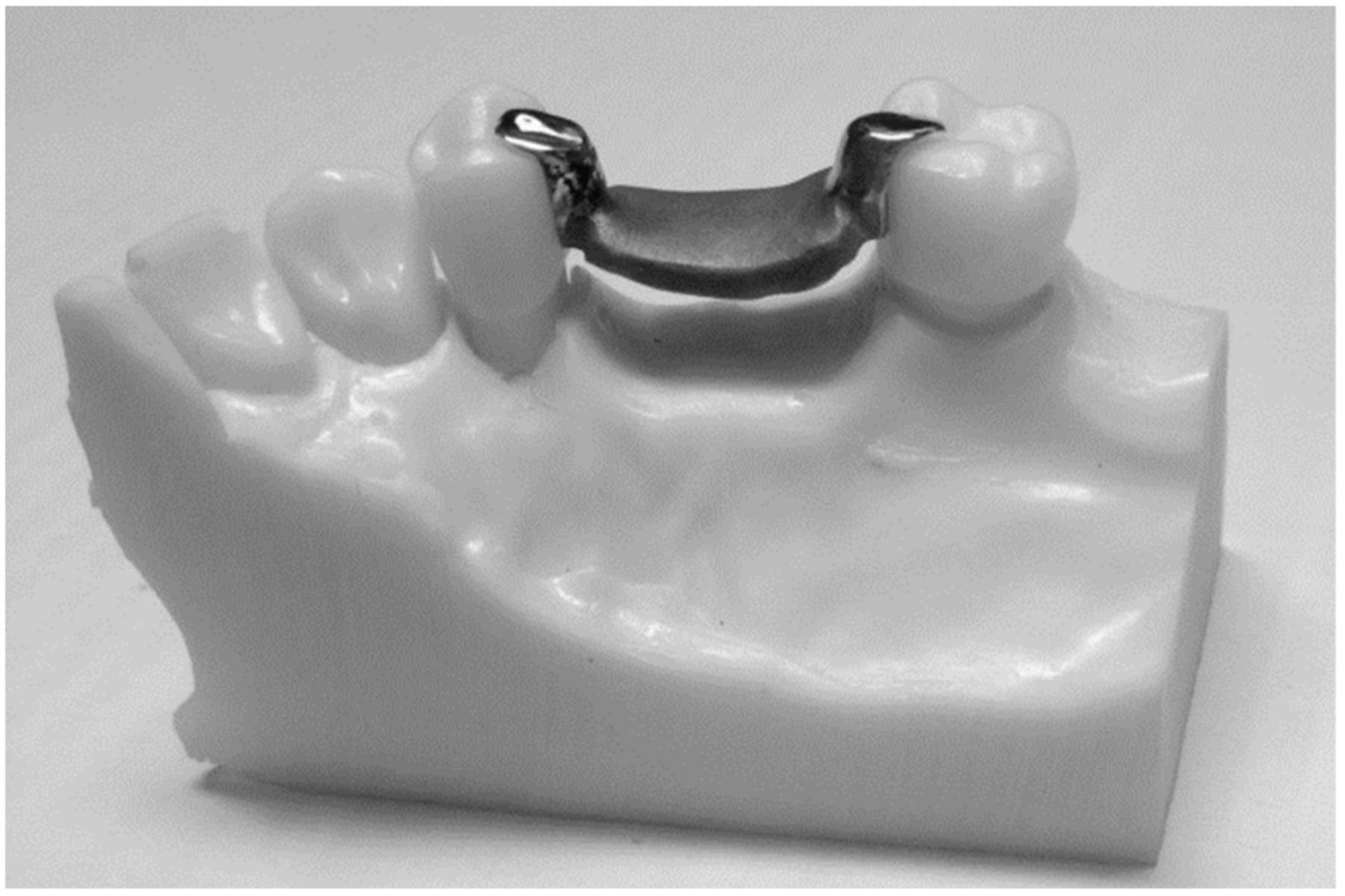 Biomimetics 08 00113 g004